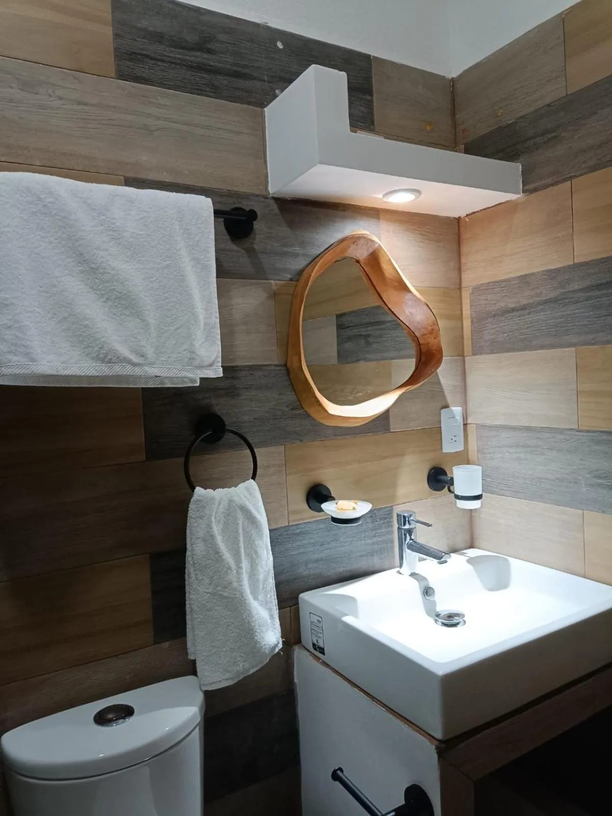 Public Bath in Hotel Axolotl