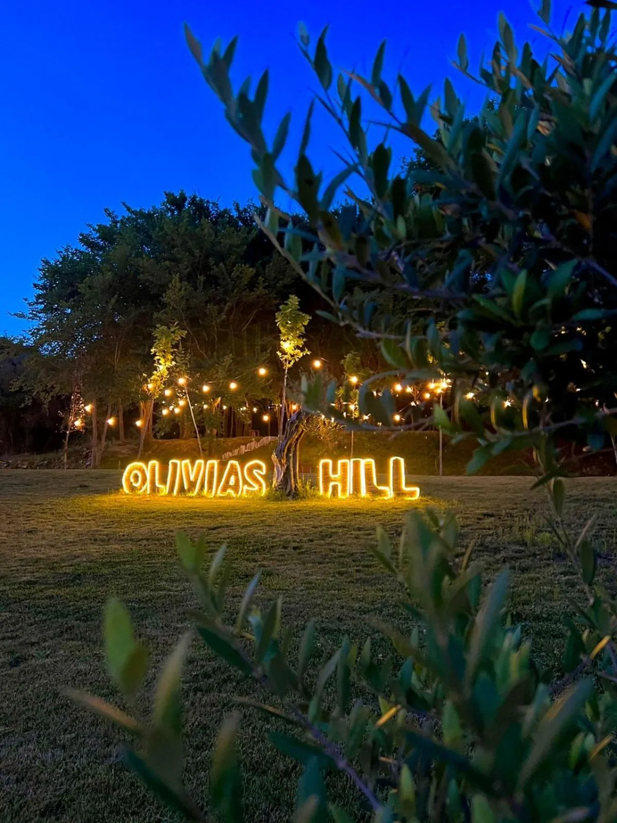 Garden in Padel Olivia's Hill Resort