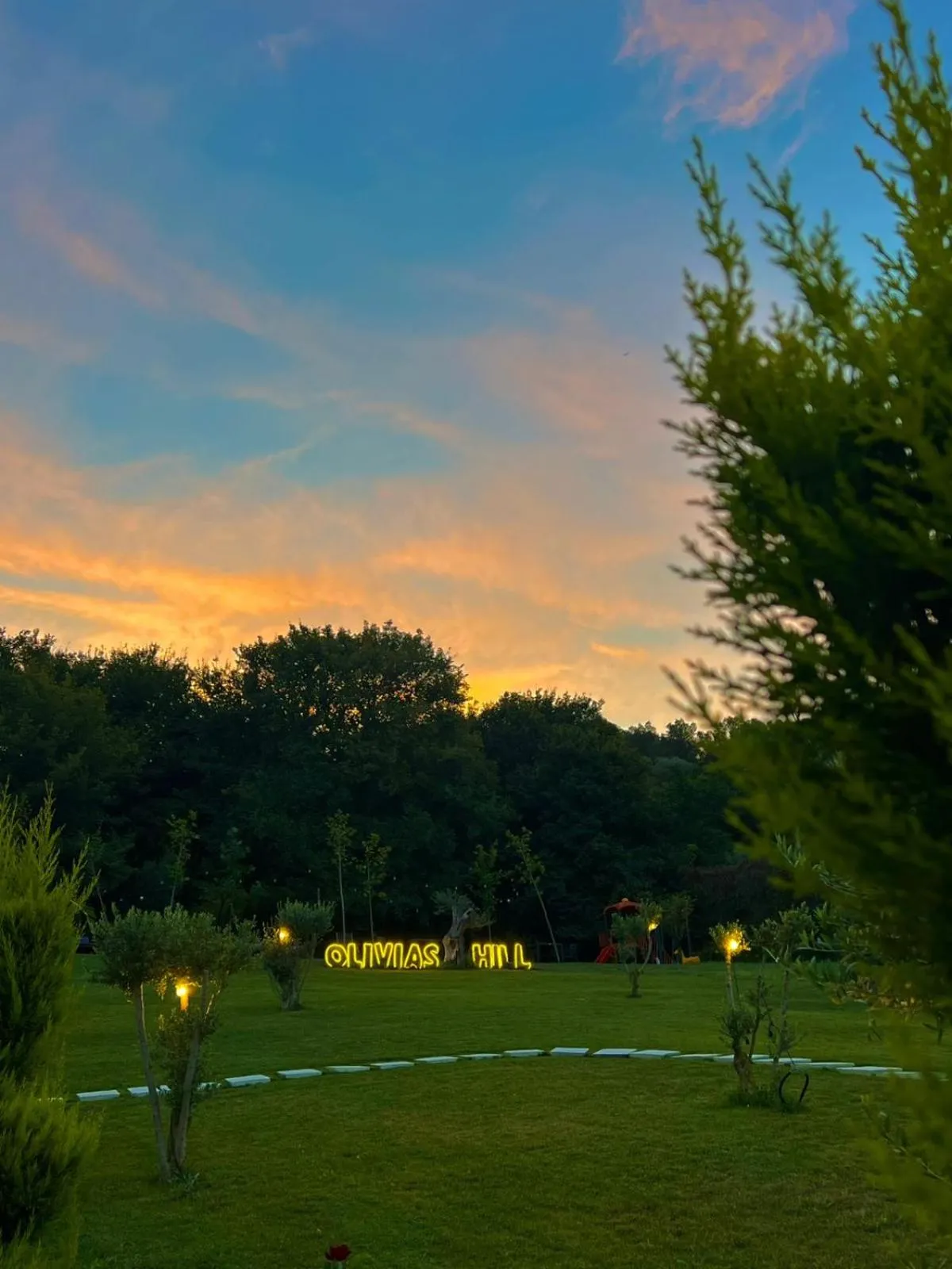 Natural landscape in Padel Olivia's Hill Resort