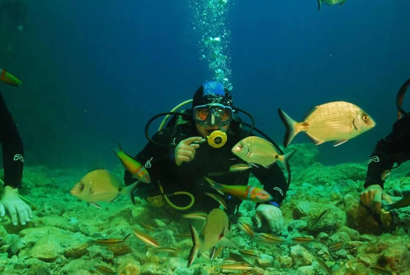 Activities in Kalypso Cretan Village Resort & Spa