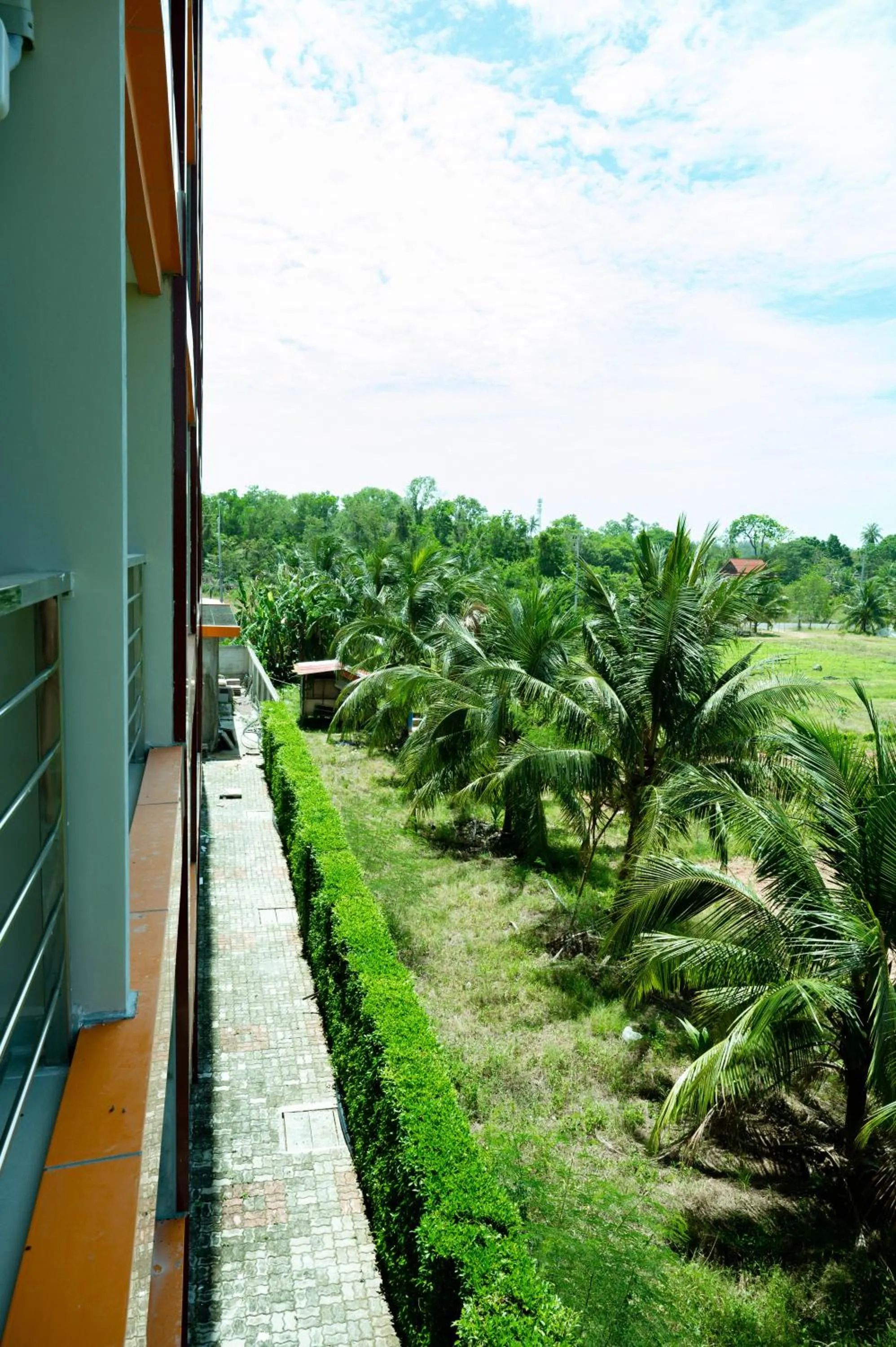 Garden view in 777 Beach Condo Phuket