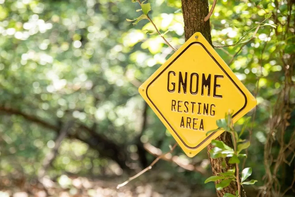 Hobbit Treehouse with waterfall on the Brazos River! 350 acres! Tubing! Petting zoo!