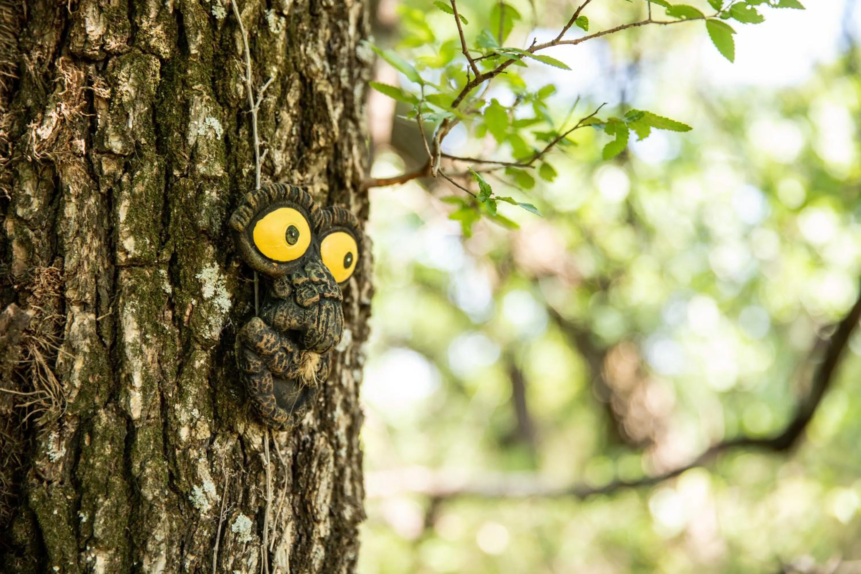 Hobbit Treehouse with waterfall on the Brazos River! 350 acres! Tubing! Petting zoo!