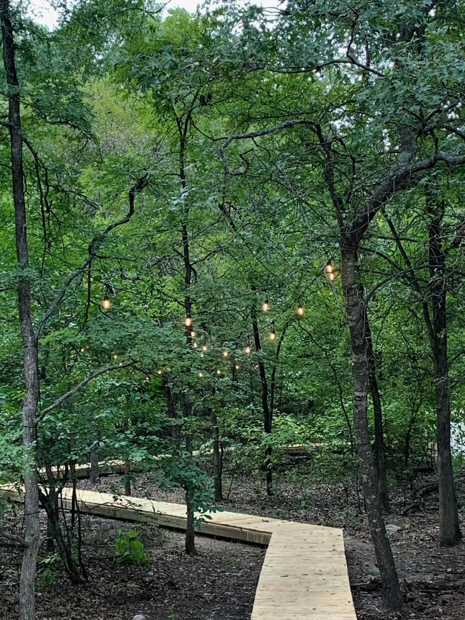 Hobbit Treehouse with waterfall on the Brazos River! 350 acres! Tubing! Petting zoo!