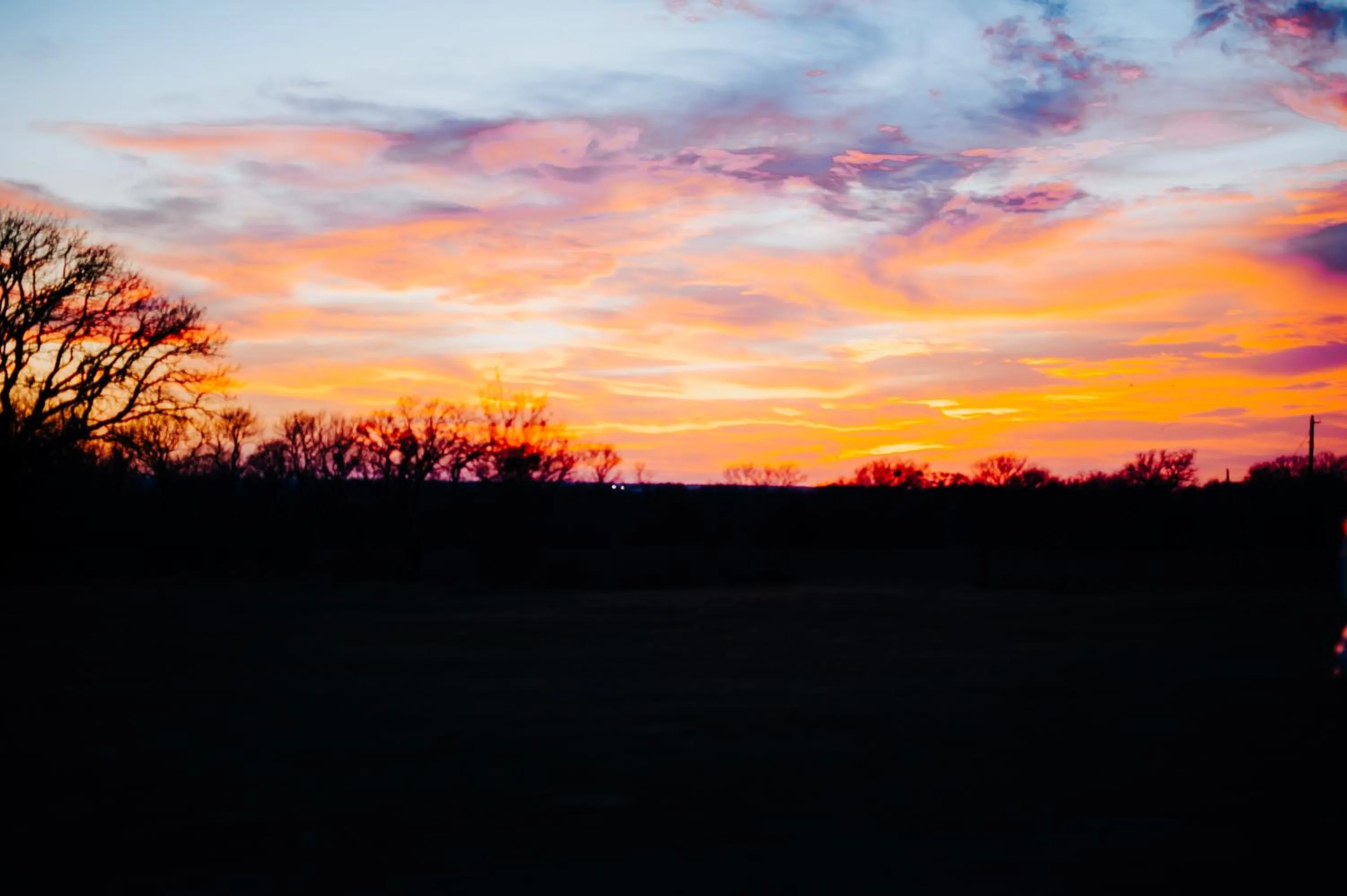 "Magical Treehouse" w spiral slide off the deck 350 acres on the Brazos River! Tubing! Petting Zoo!