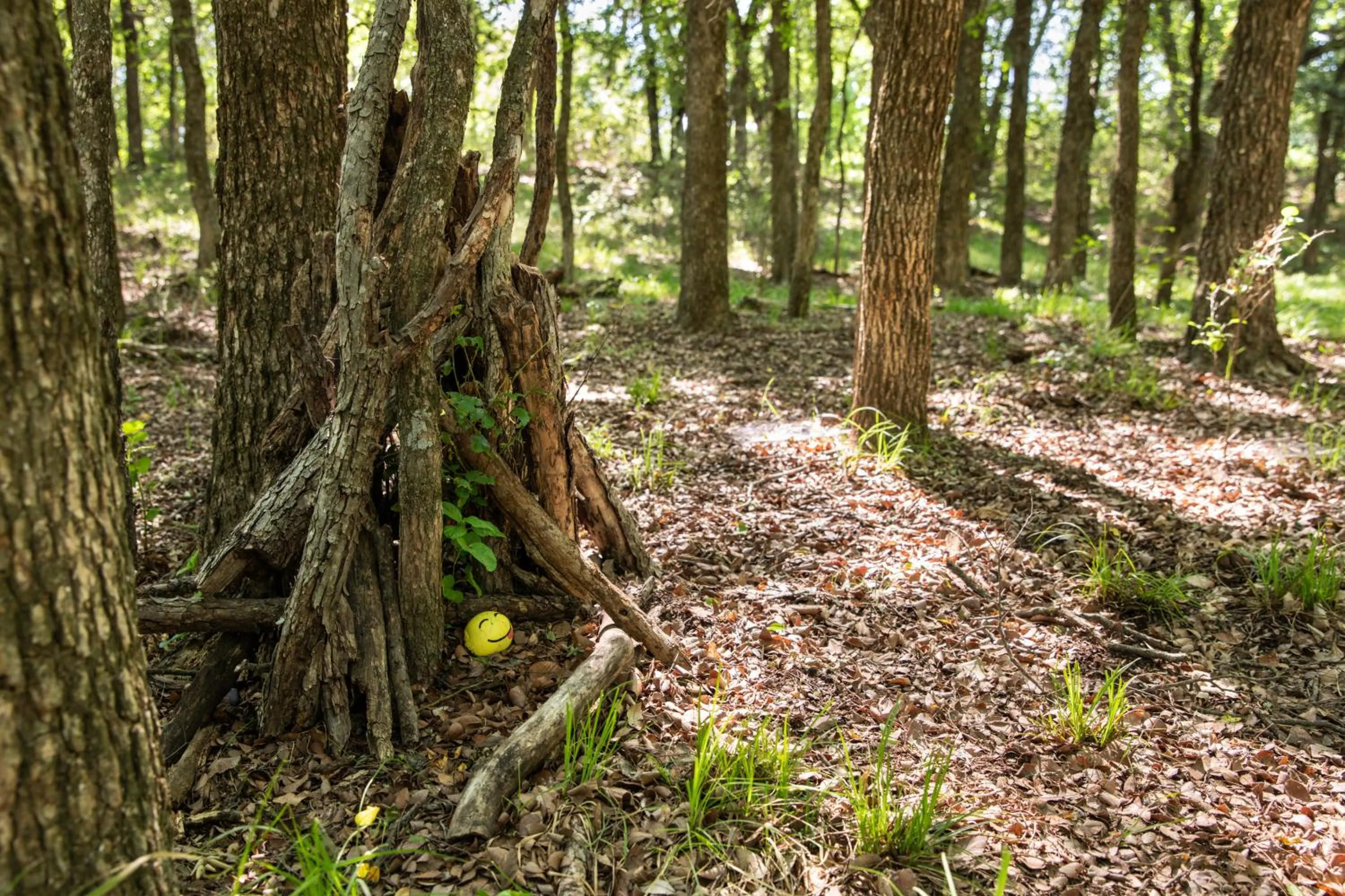 Spring in "Magical Treehouse" w spiral slide off the deck 350 acres on the Brazos River! Tubing! Petting Zoo!
