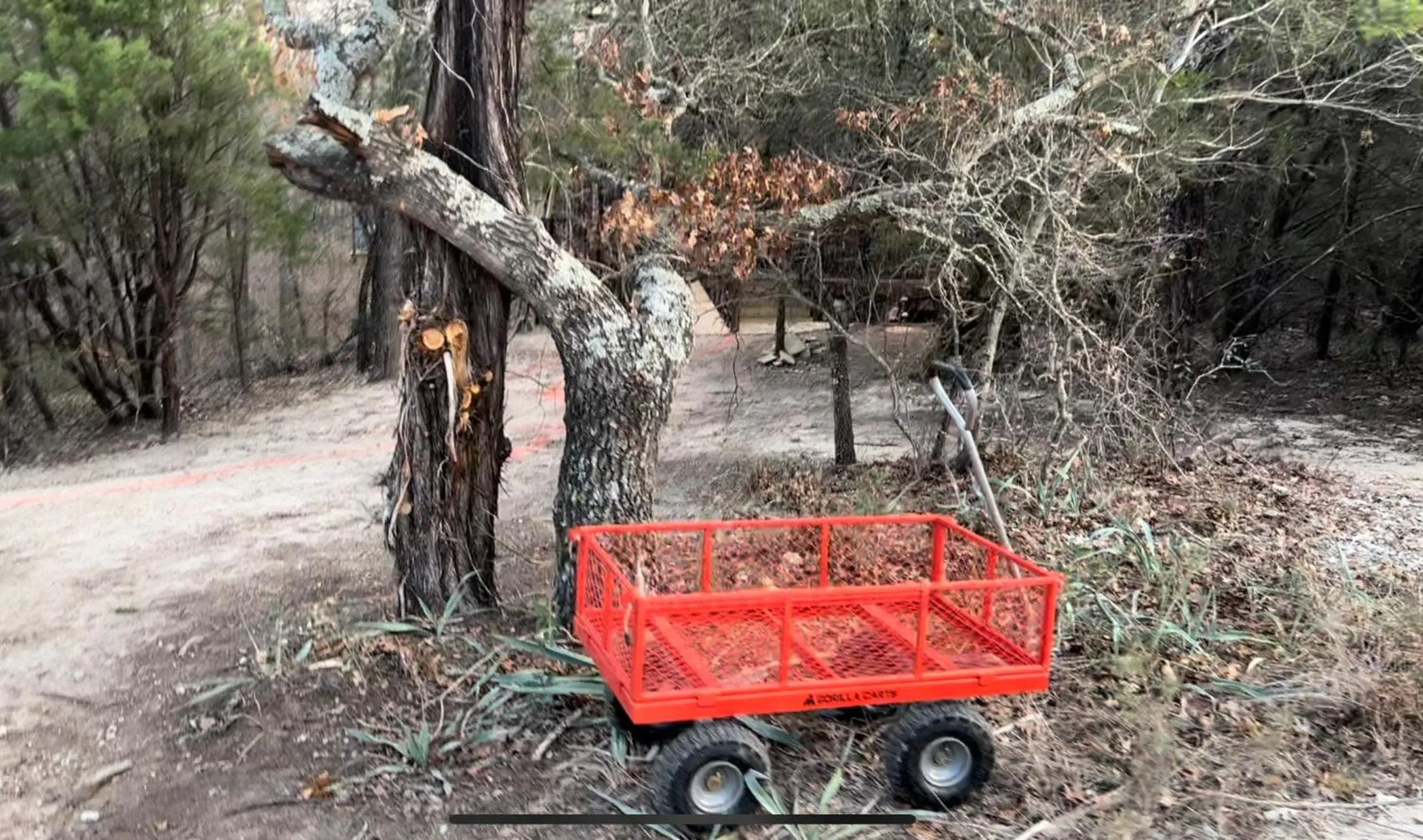 Natural landscape in "Magical Treehouse" w spiral slide off the deck 350 acres on the Brazos River! Tubing! Petting Zoo!