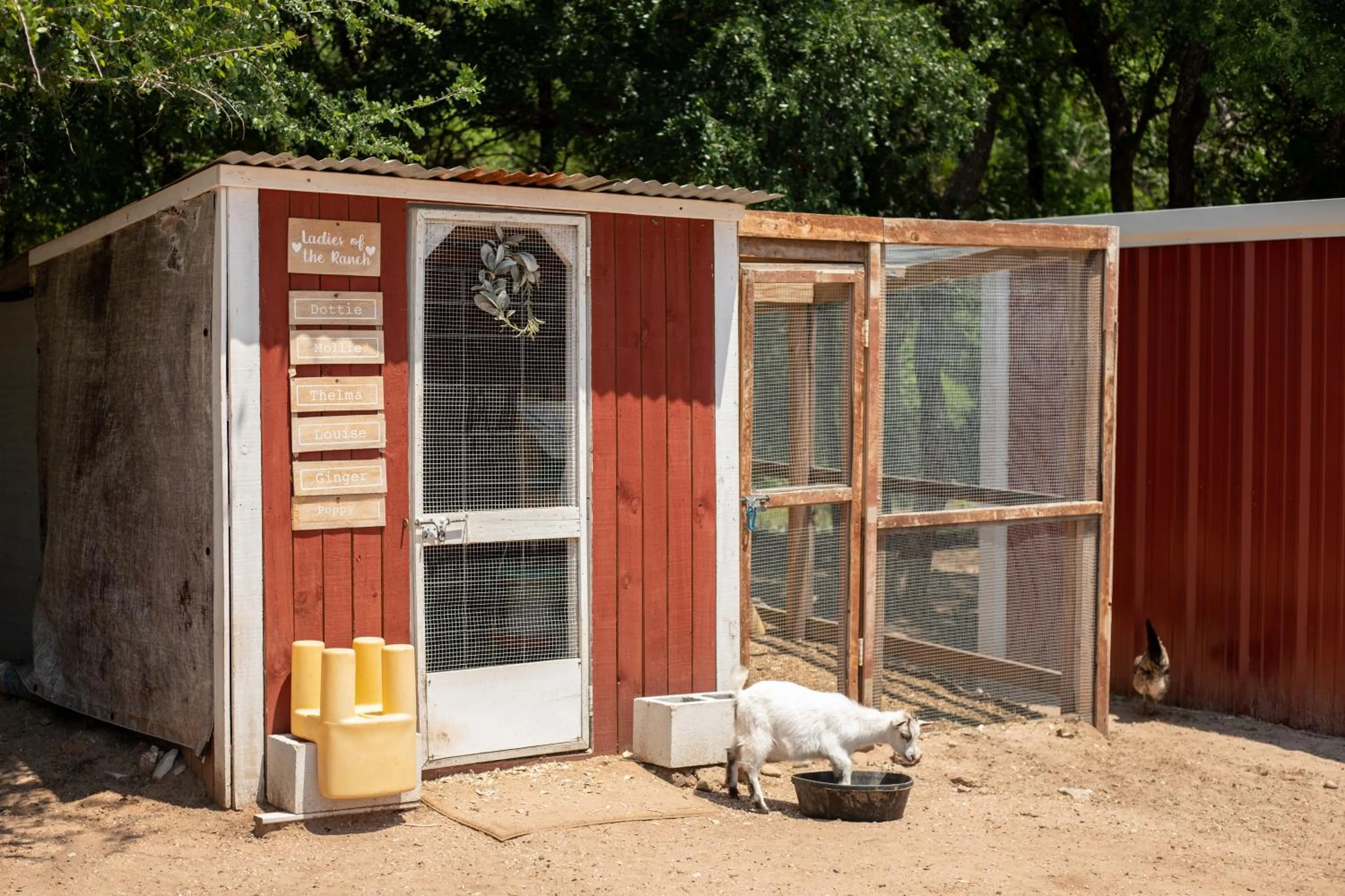 Property building in "Magical Treehouse" w spiral slide off the deck 350 acres on the Brazos River! Tubing! Petting Zoo!