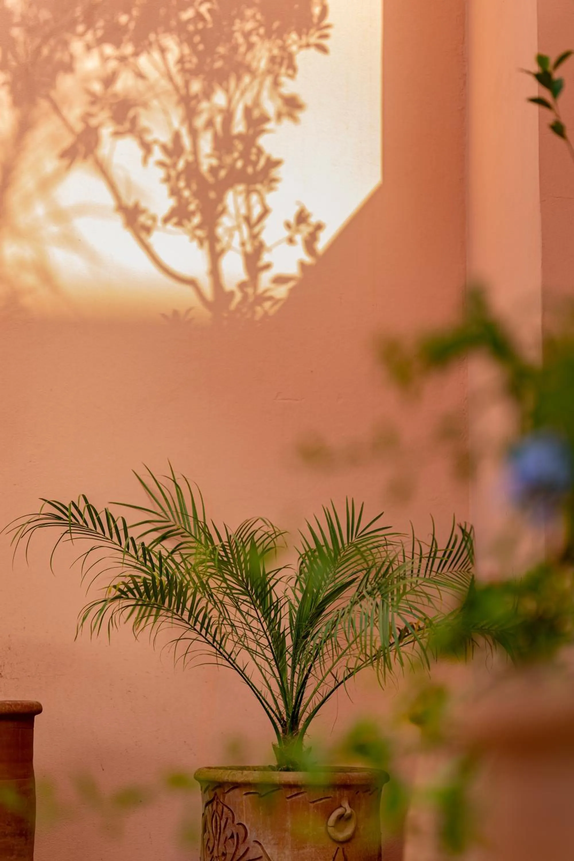 Restaurant/places to eat in HOTEL RIAD CHAMI