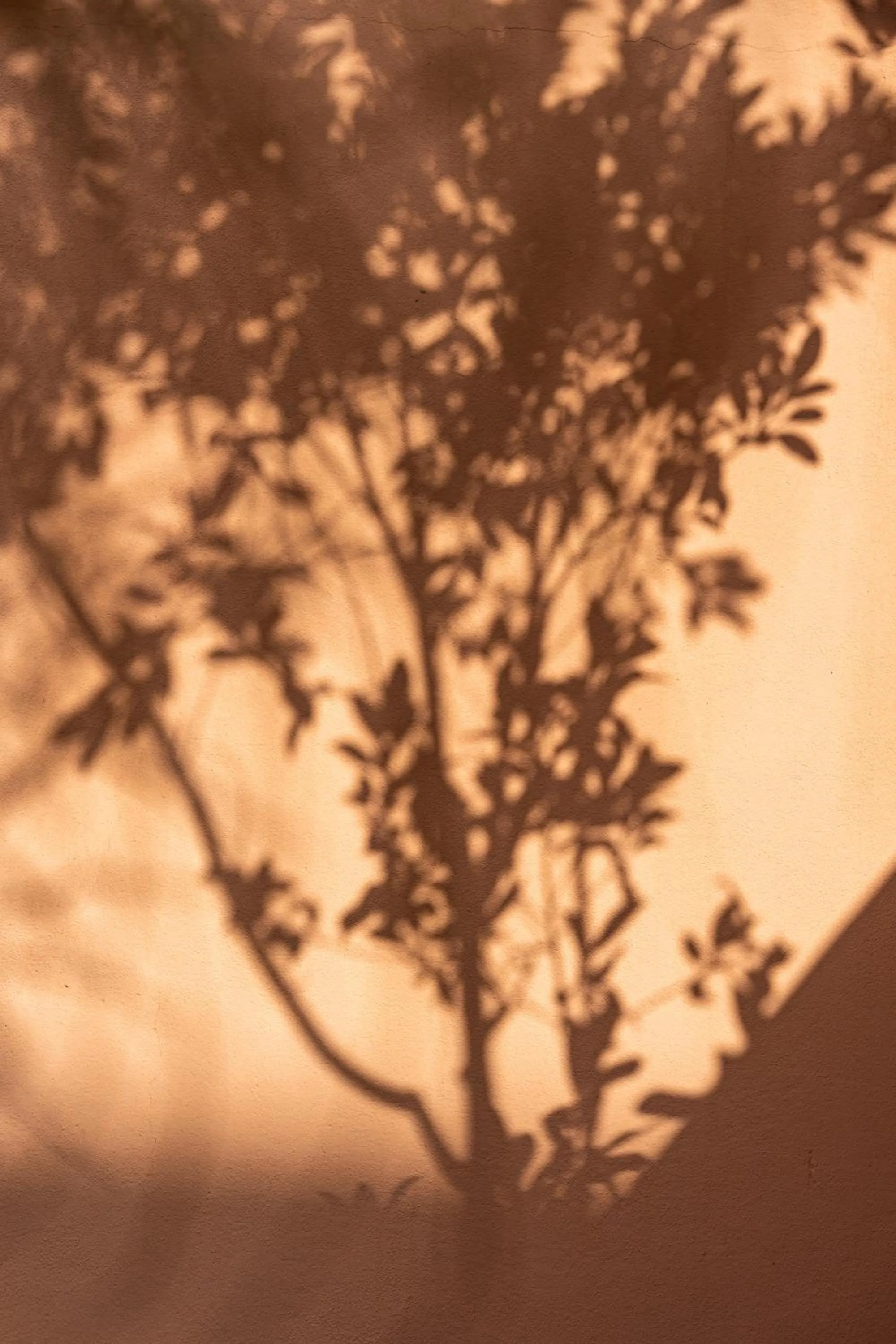 Property building in HOTEL RIAD CHAMI