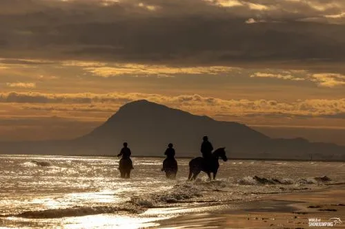 Oliva Nova Beach & Golf Hotel