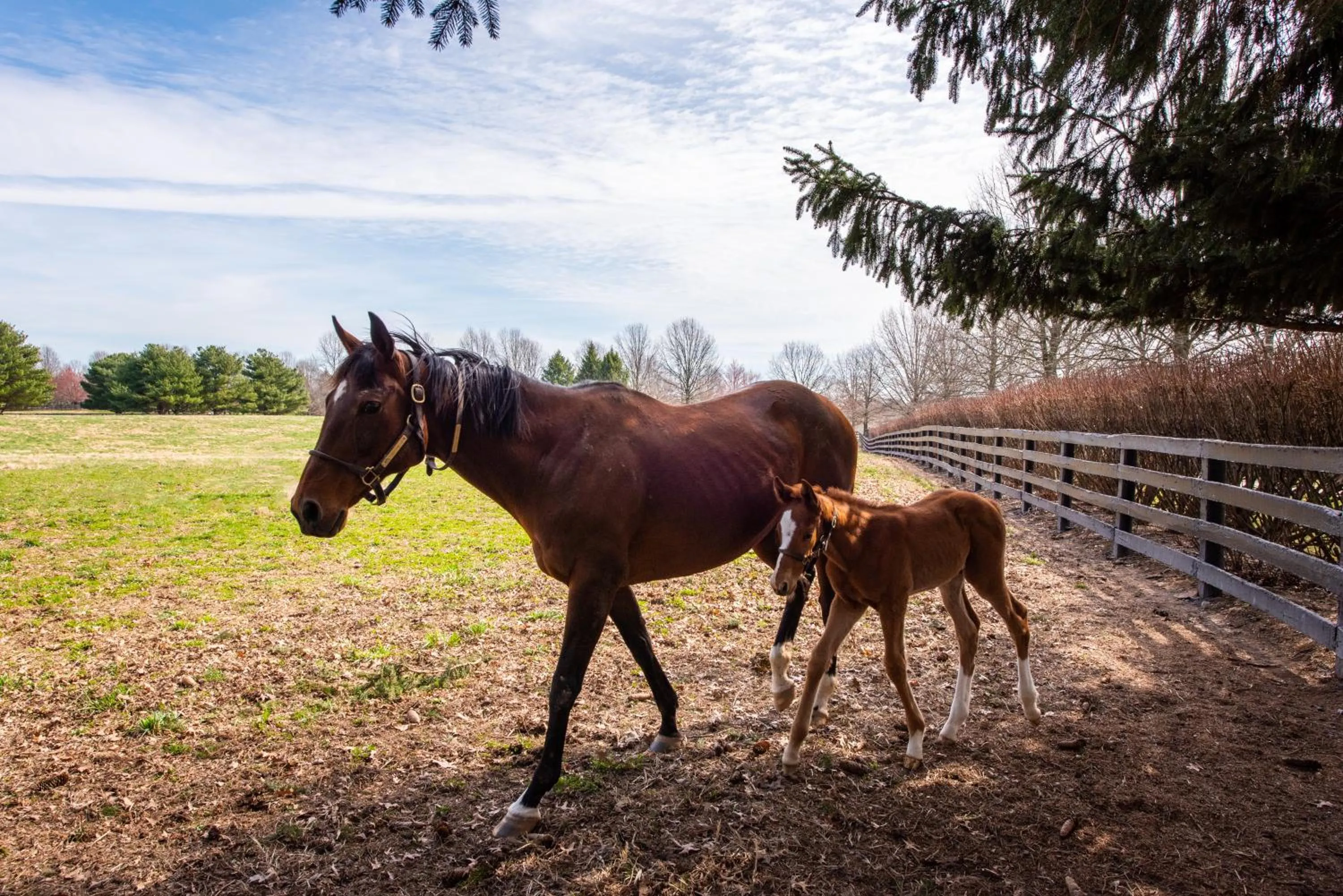 Day in The Woodford Hotel