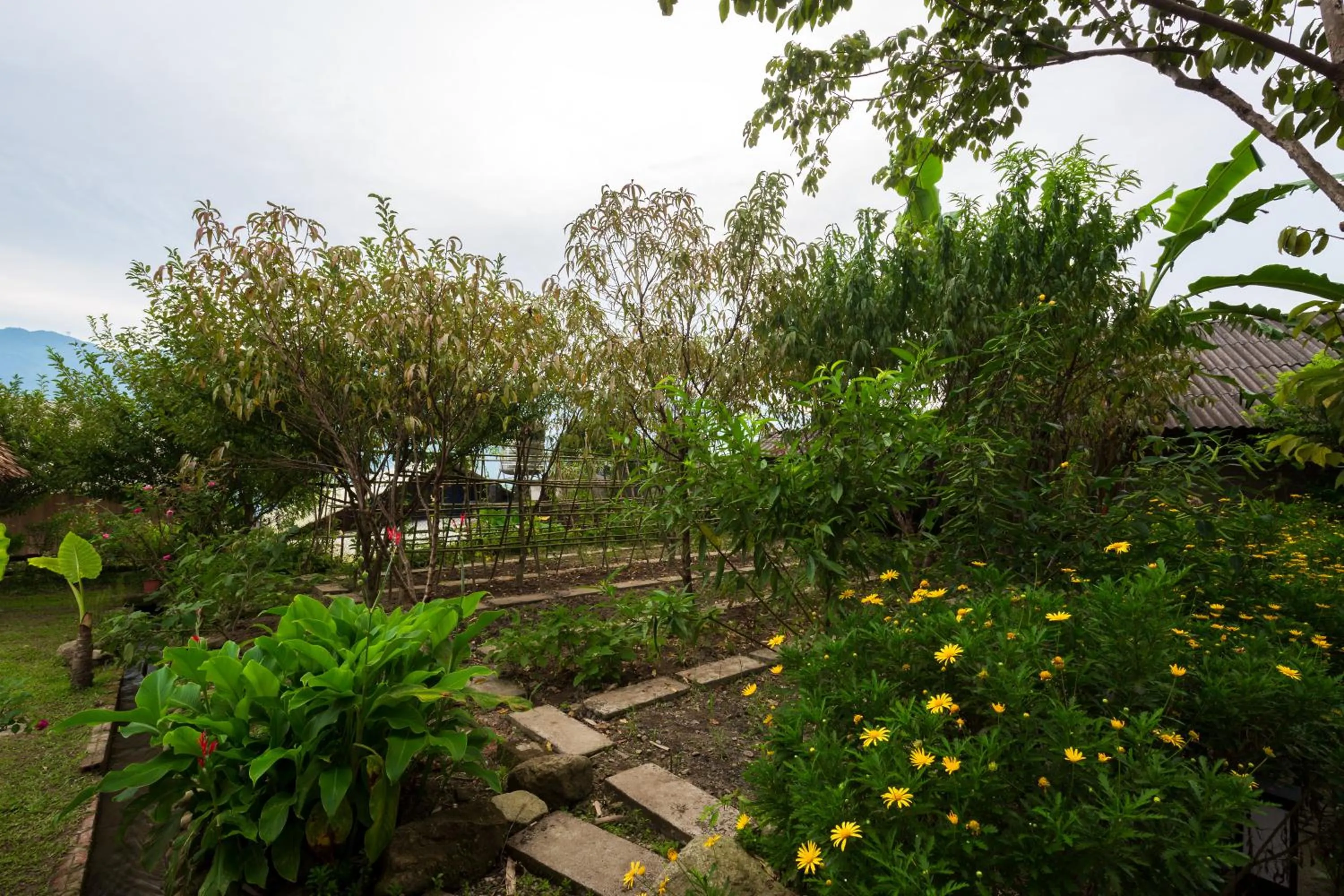 Natural landscape in Moc Home Sapa