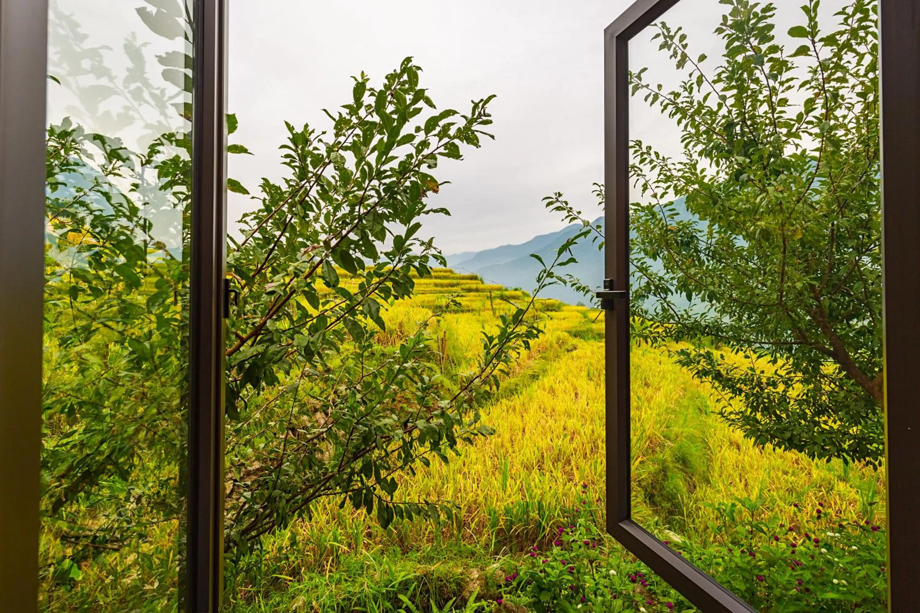 Natural landscape in Moc Home Sapa