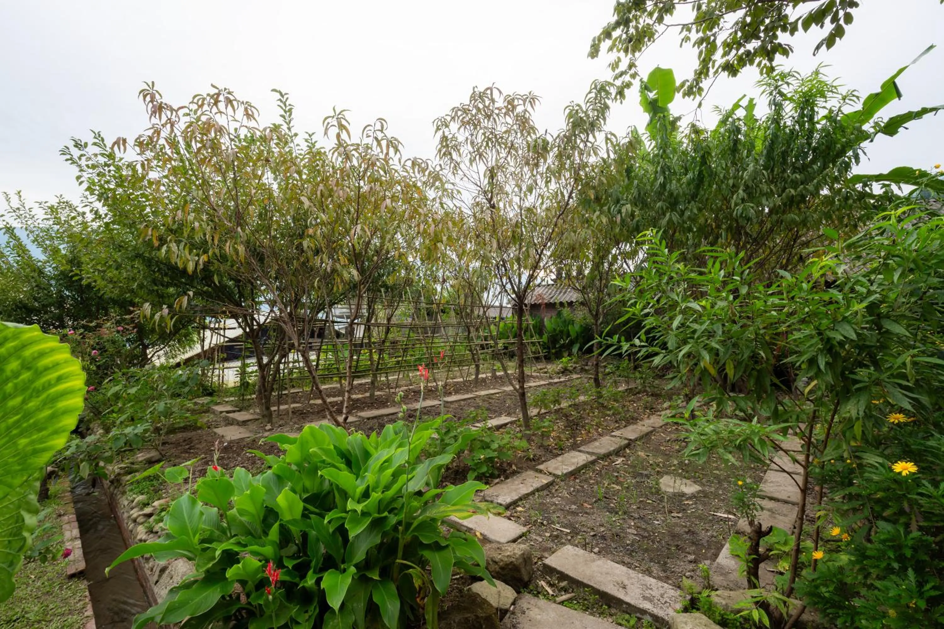 Day in Moc Home Sapa