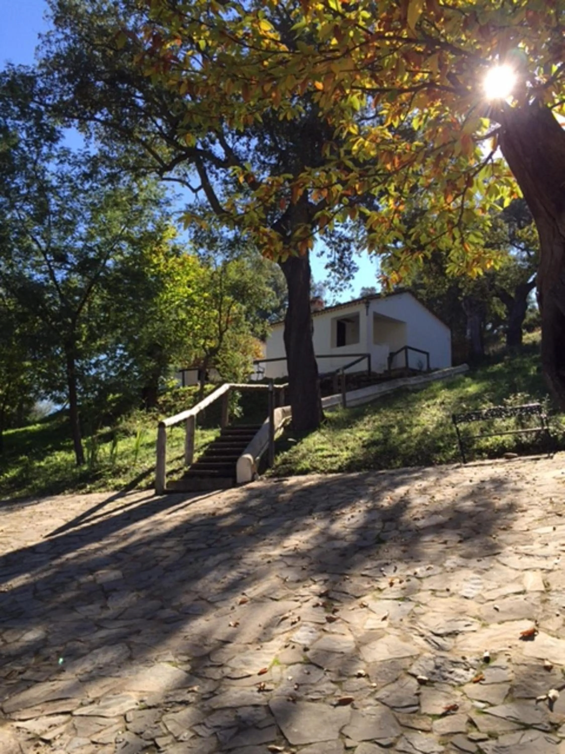 Area and facilities in Finca Valbono Apartamentos Rurales y Hotel