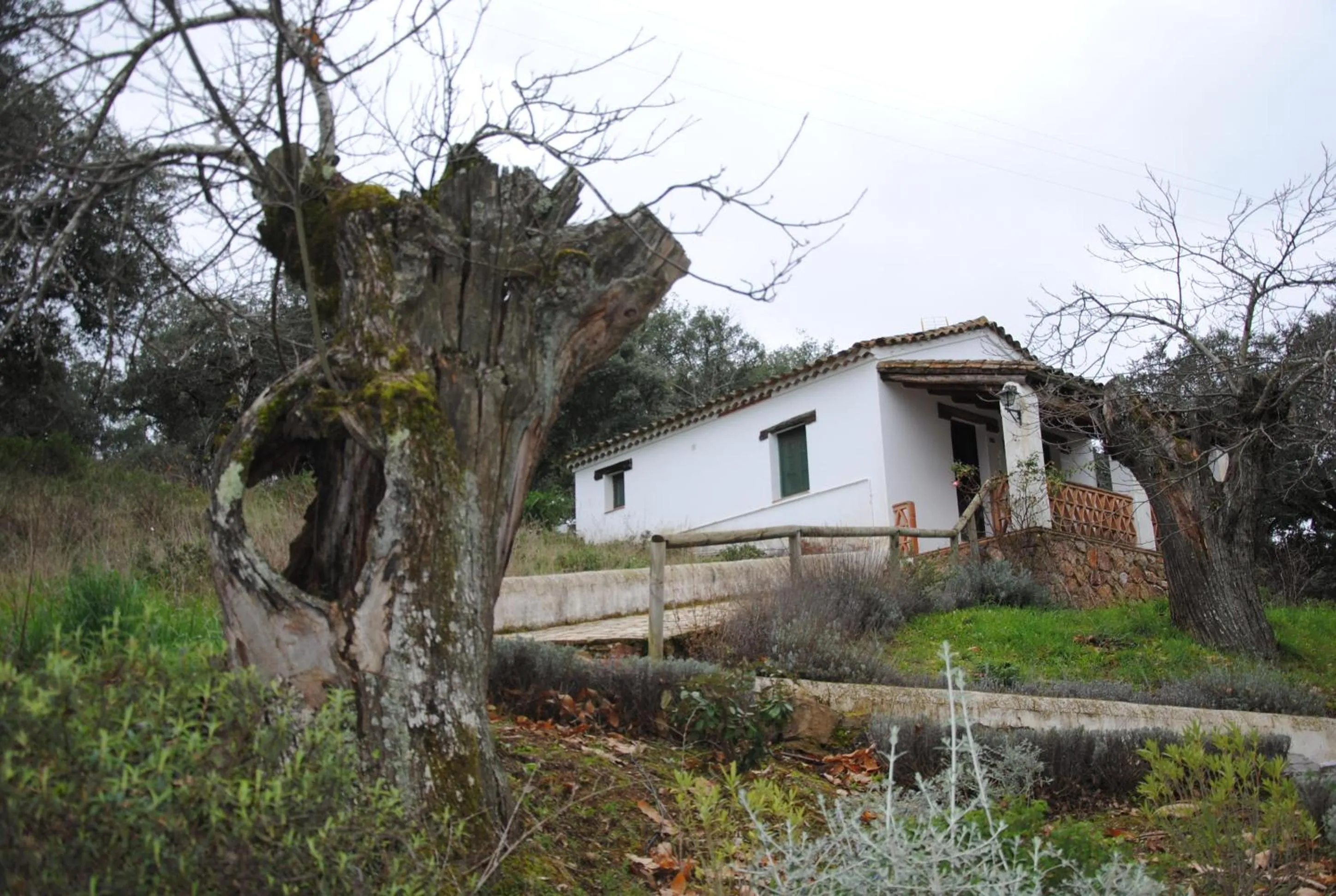 Business facilities in Finca Valbono Apartamentos Rurales y Hotel
