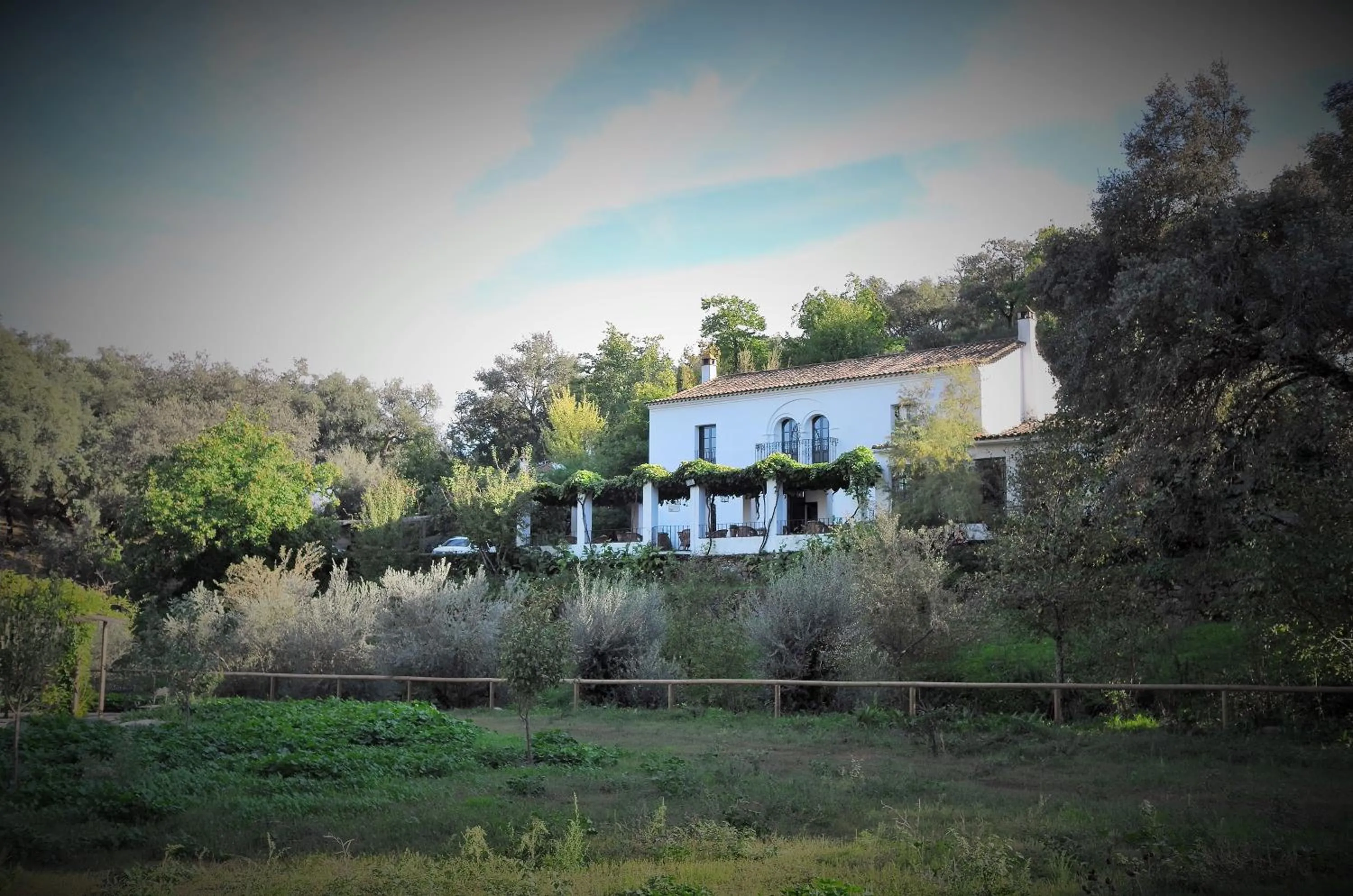 Area and facilities in Finca Valbono Apartamentos Rurales y Hotel