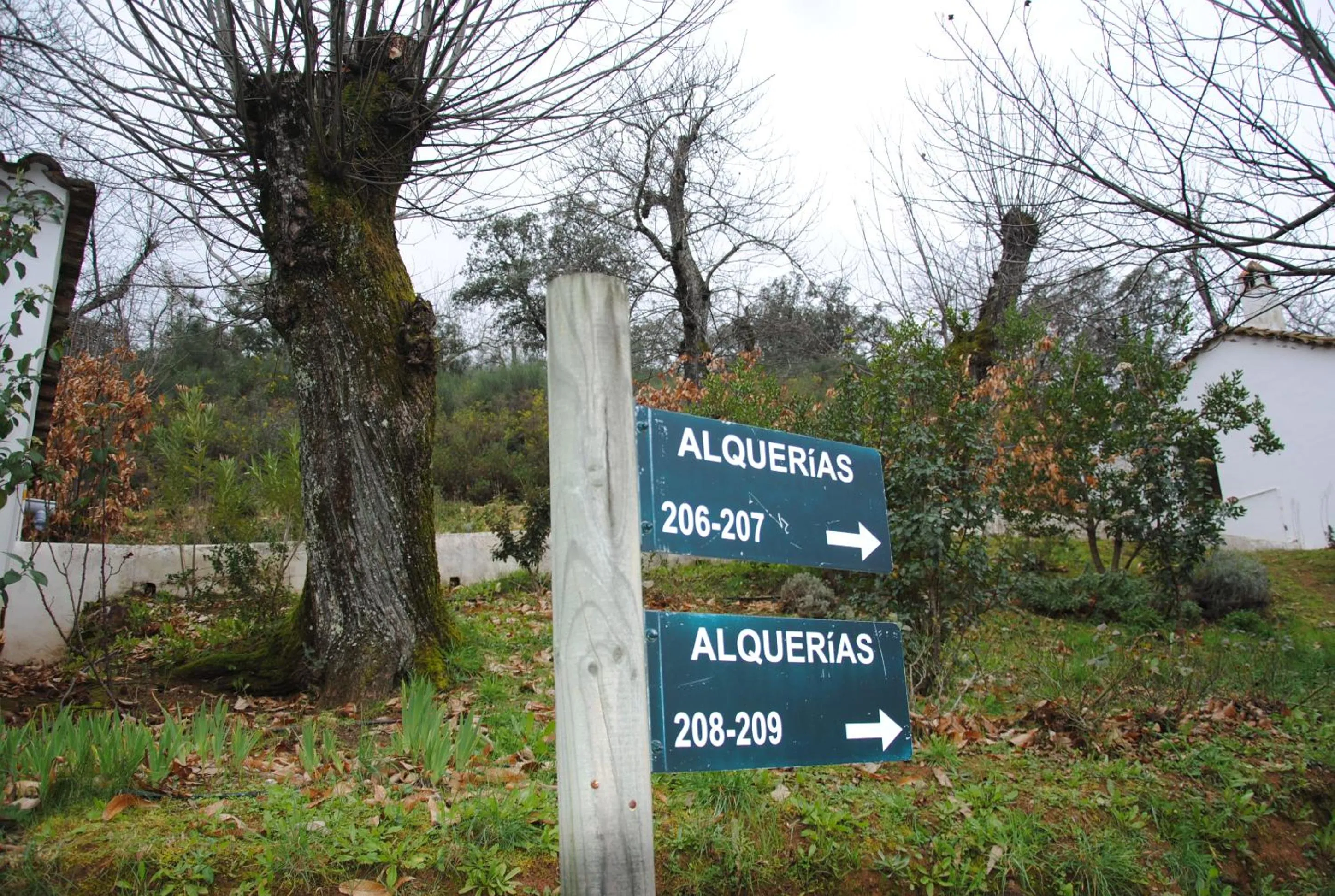 Business facilities in Finca Valbono Apartamentos Rurales y Hotel