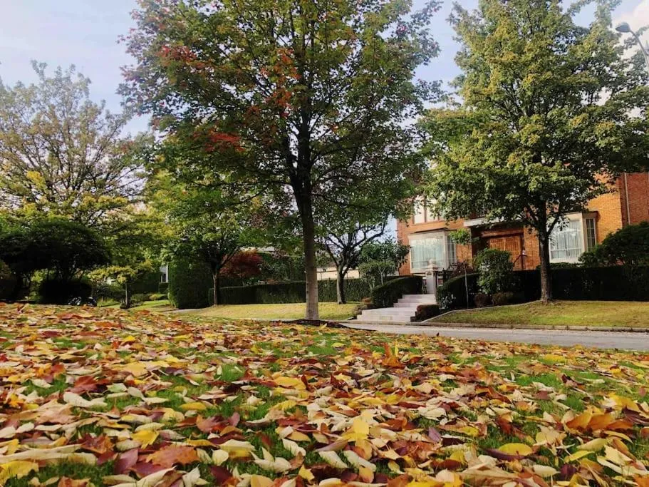 Property building in Super Cosy 8Bed & 6Bath in Vancouver heart near to airport and DownTown