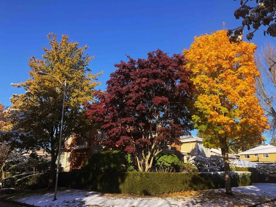 Day in Super Cosy 8Bed & 6Bath in Vancouver heart near to airport and DownTown