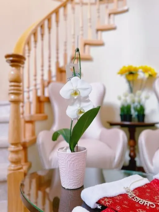 Super Cosy 8Bed & 6Bath in Vancouver heart near to airport and DownTown