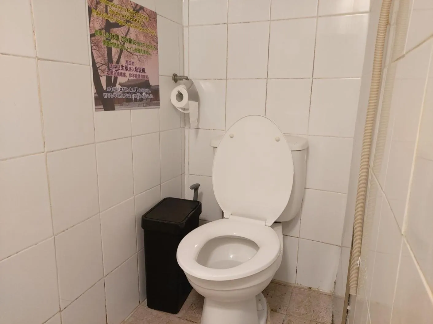 Toilet in Seoul Guesthouse Foreigners Only