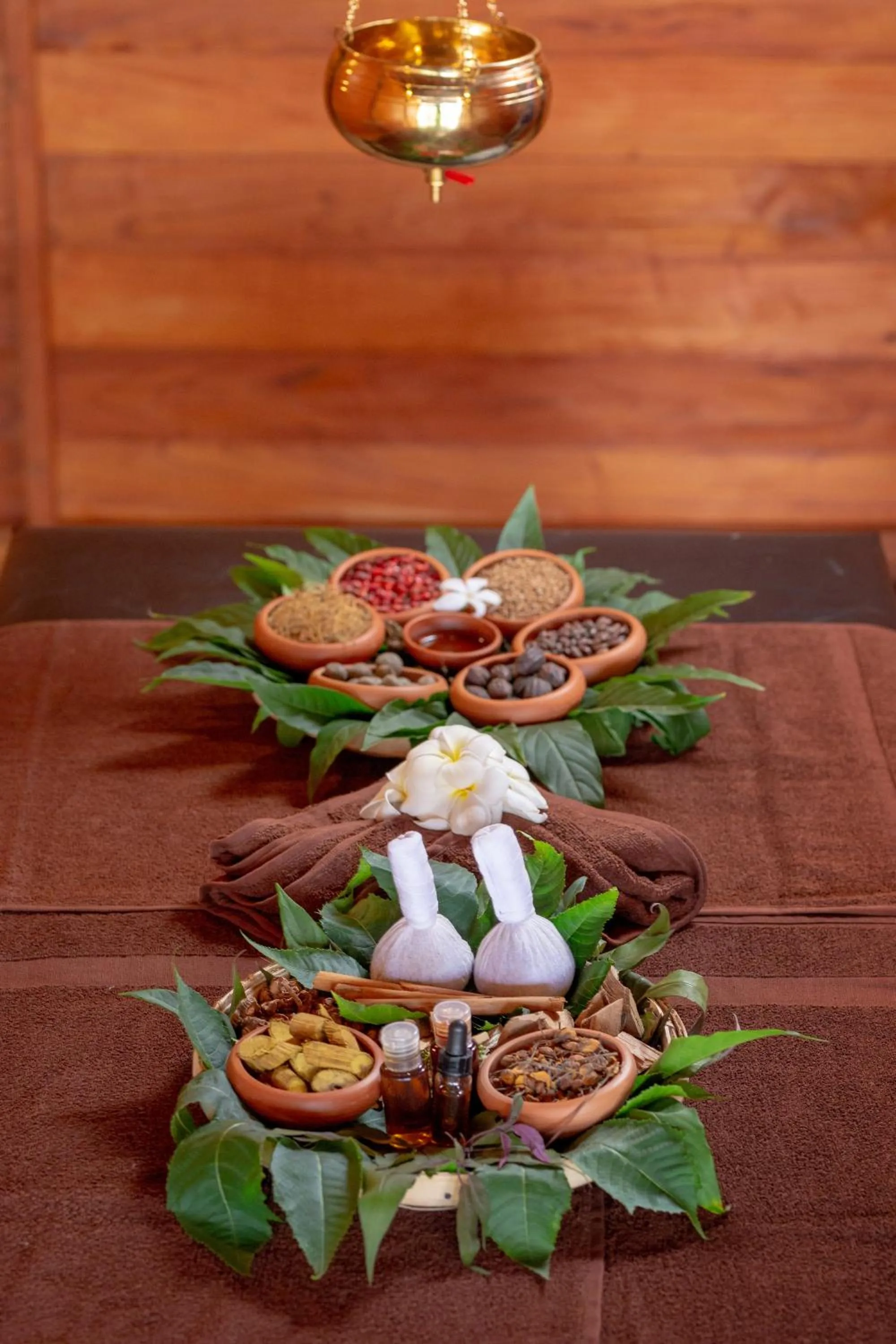 Spa and wellness centre/facilities in Celestia Ayurveda Resort