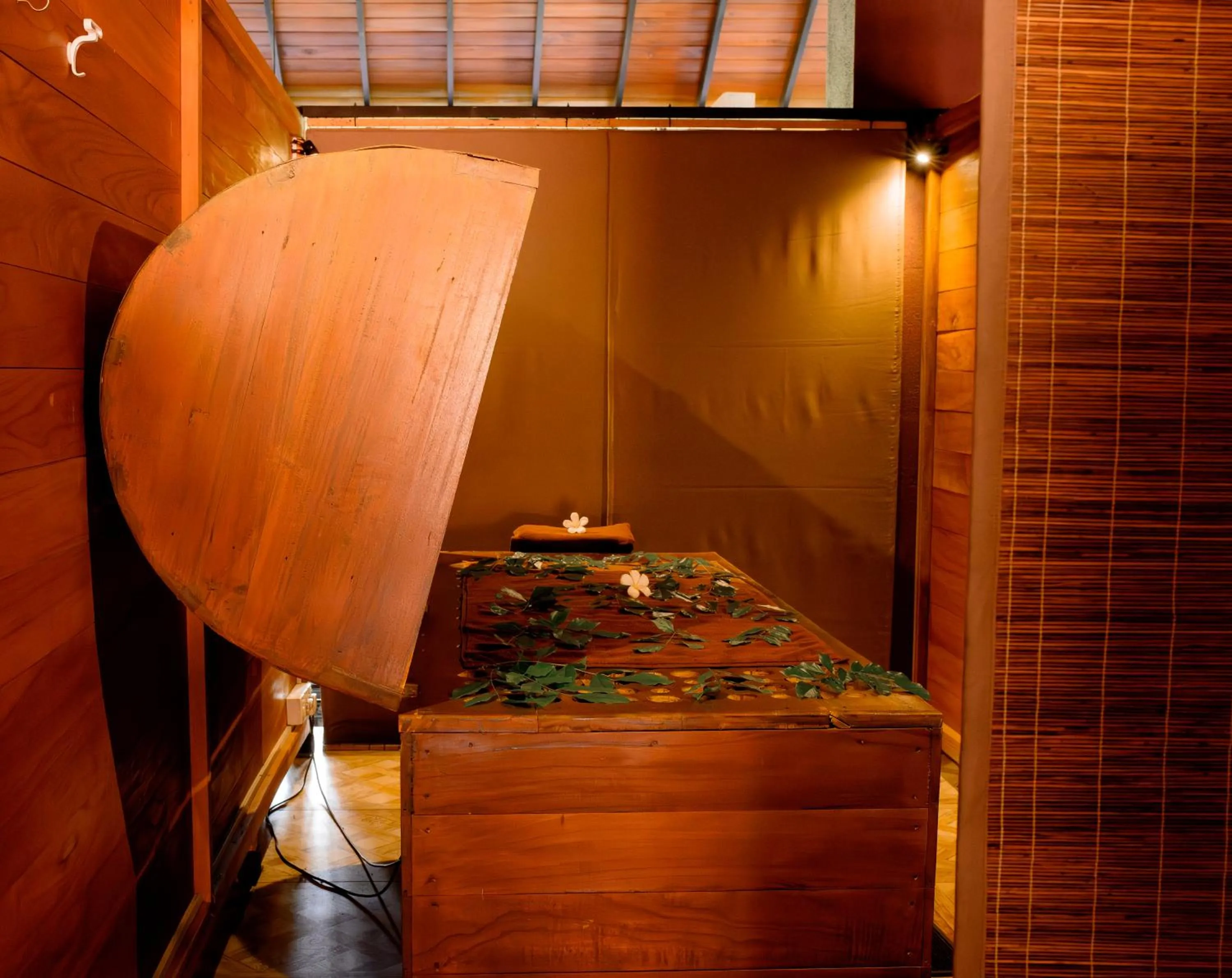 Spa and wellness centre/facilities in Celestia Ayurveda Resort