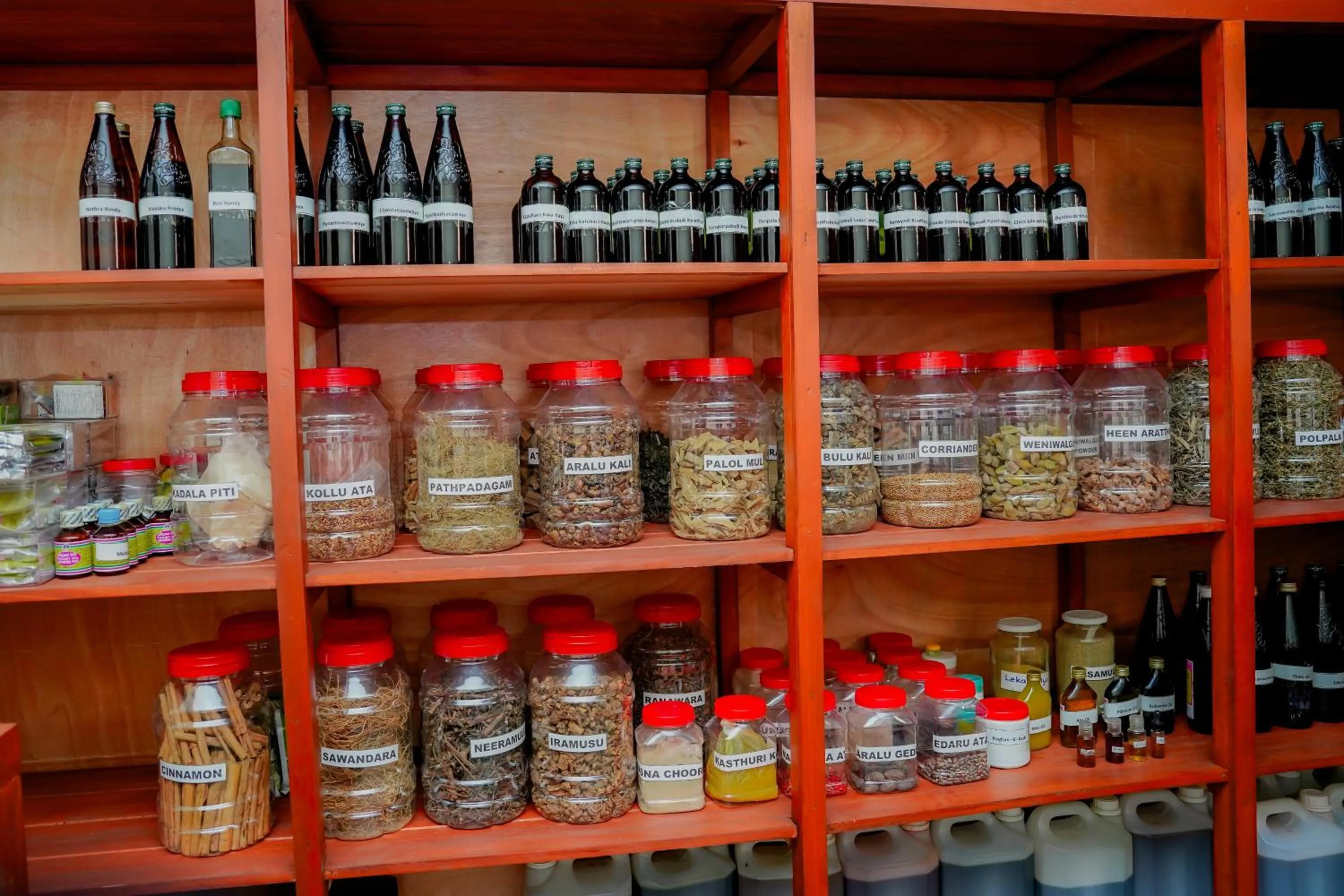 Spa and wellness centre/facilities in Celestia Ayurveda Resort