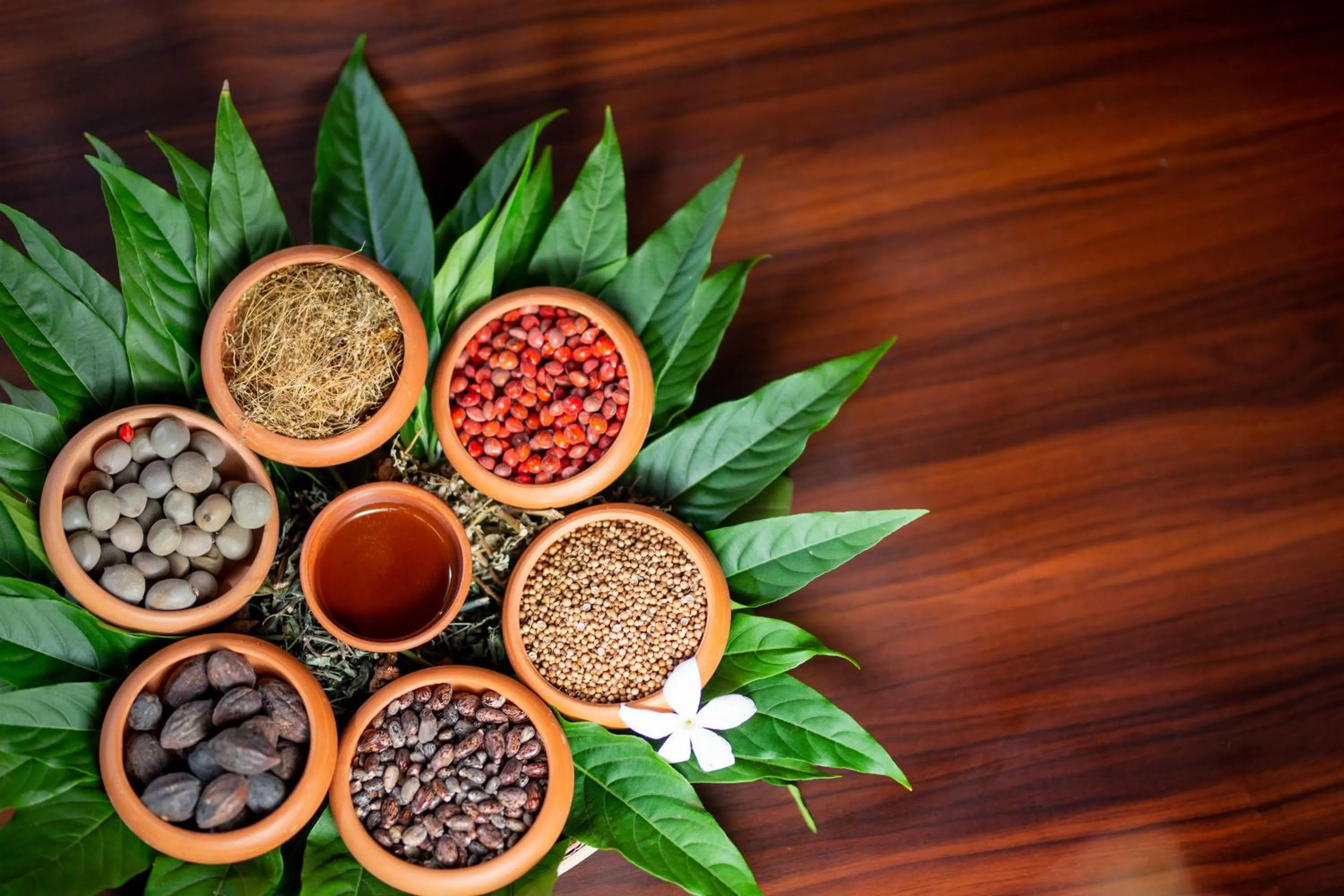 Decorative detail in Celestia Ayurveda Resort