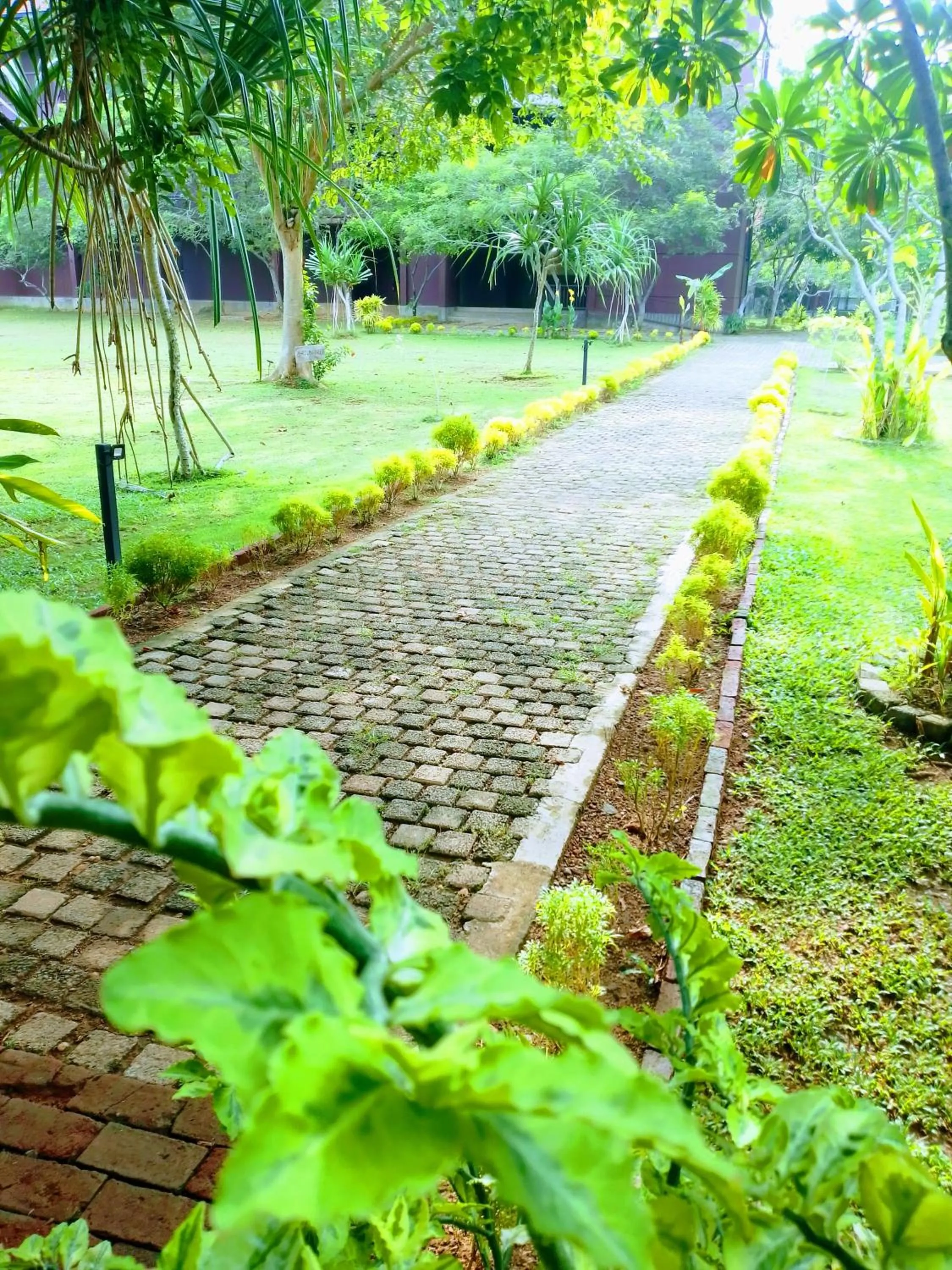 Property building in Celestia Ayurveda Resort