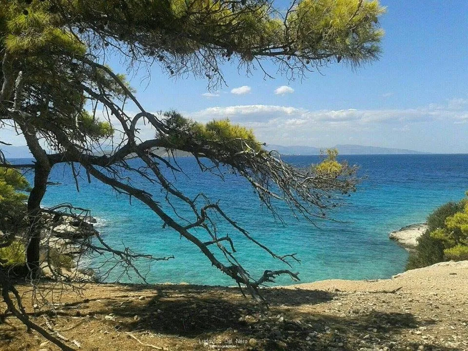 Off site in The Delfini Hotel