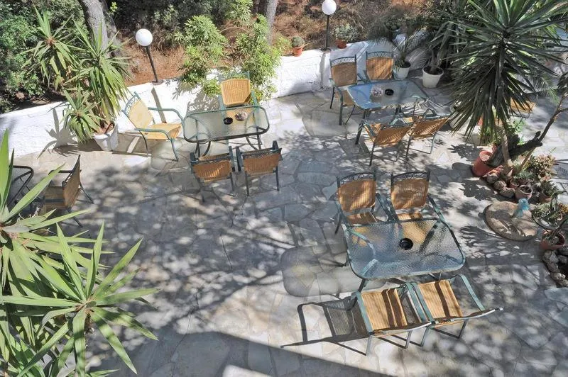 Summer in The Delfini Hotel