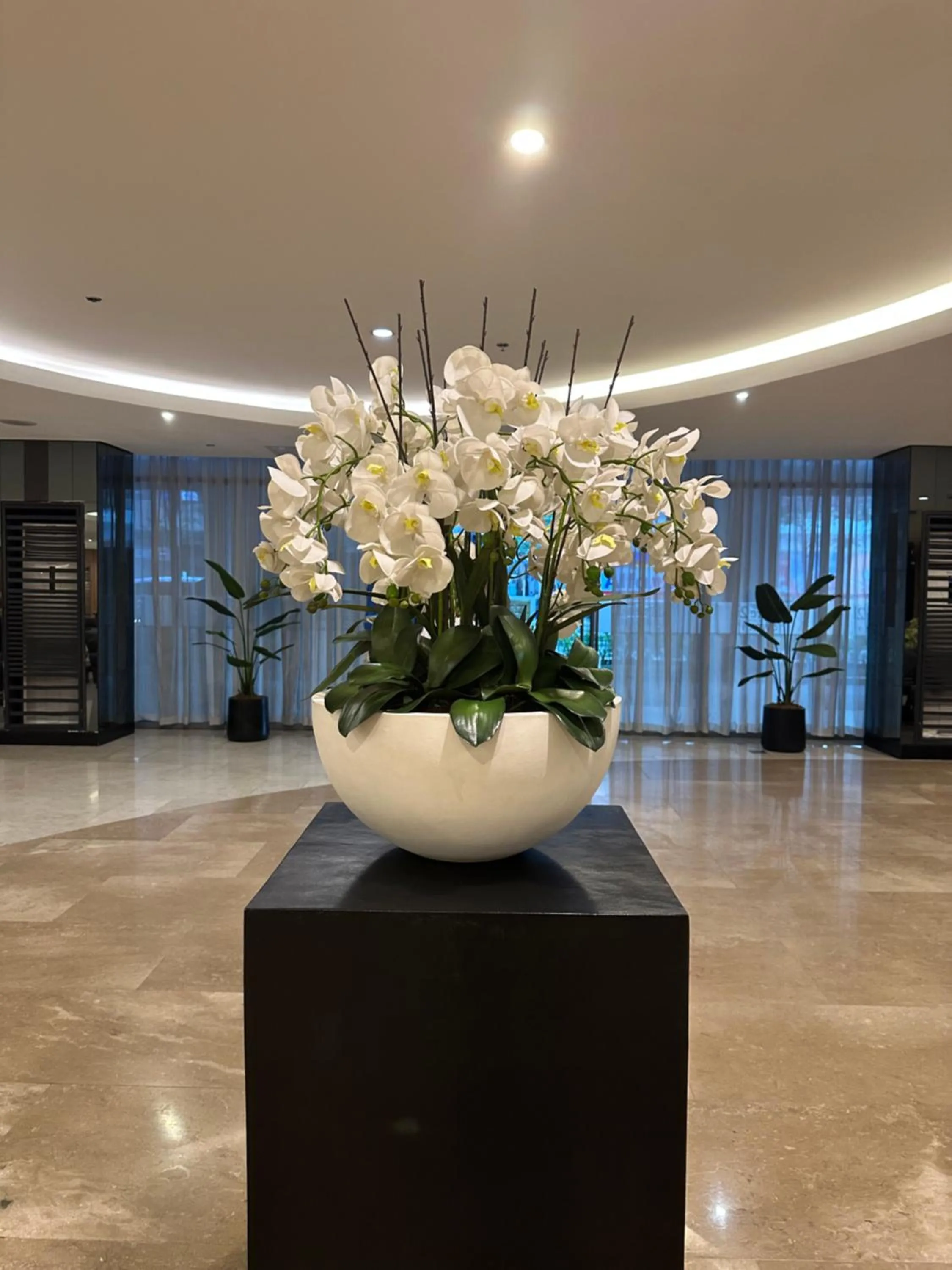 Homey Condo by the Bay