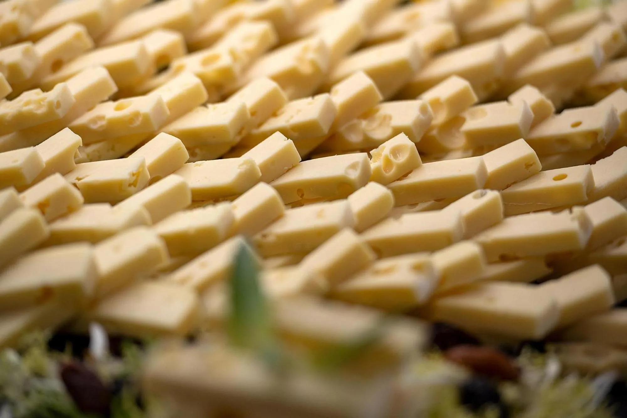 Pets in Hotel Poseidon Playa