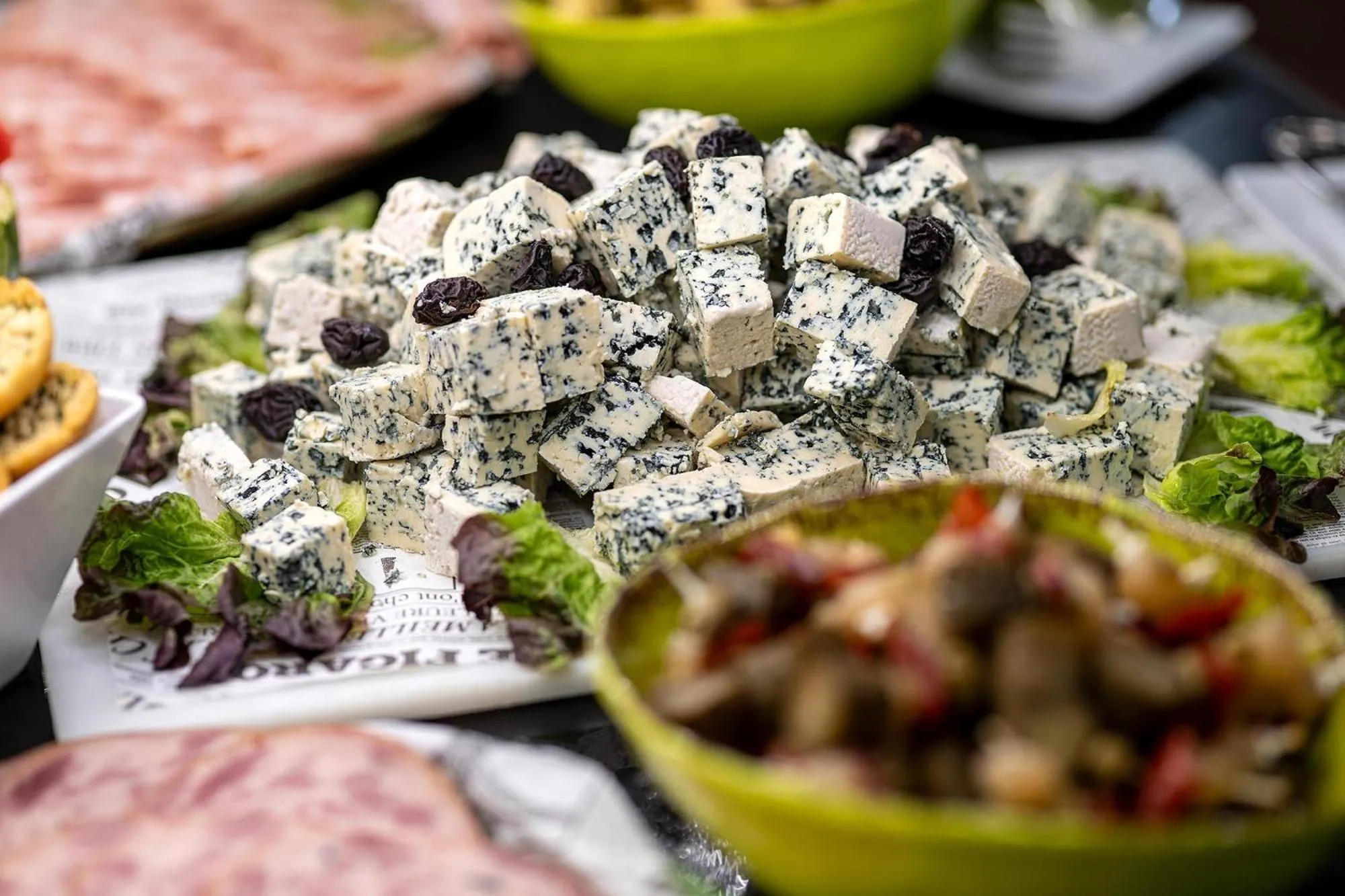 Pets in Hotel Poseidon Playa