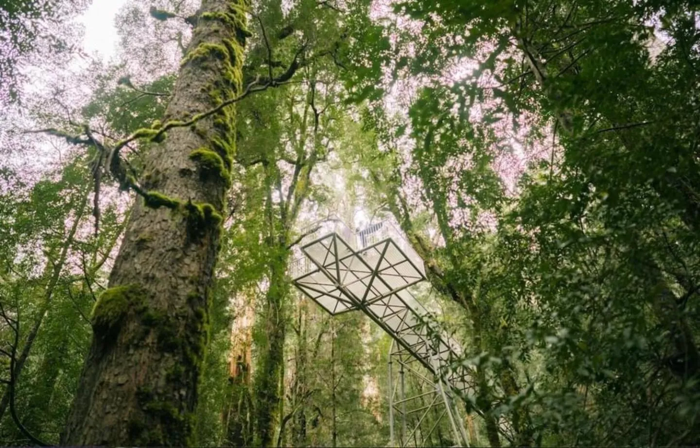 Alpine Hotel, Eat Drink Sleep