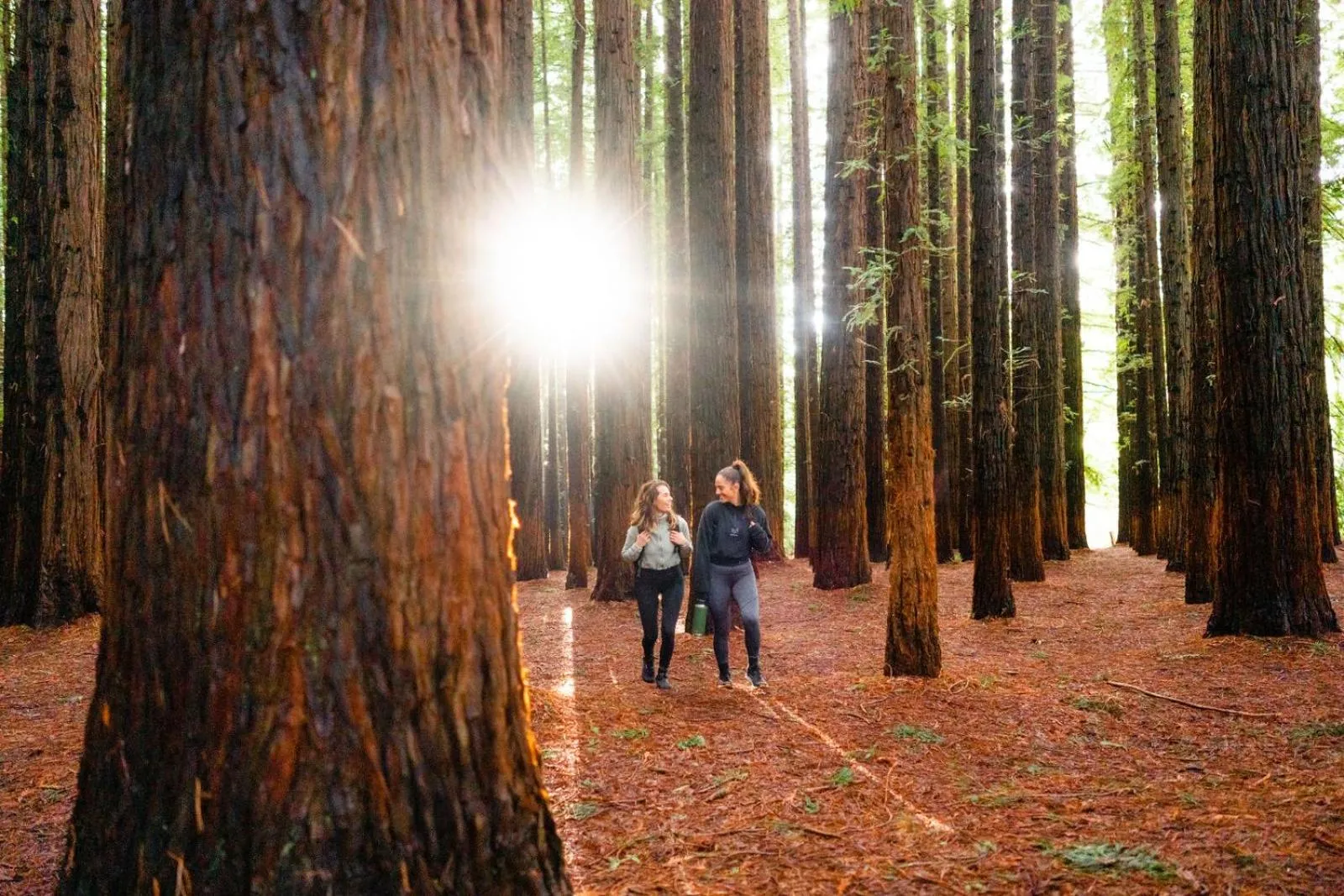 Alpine Hotel, Eat Drink Sleep