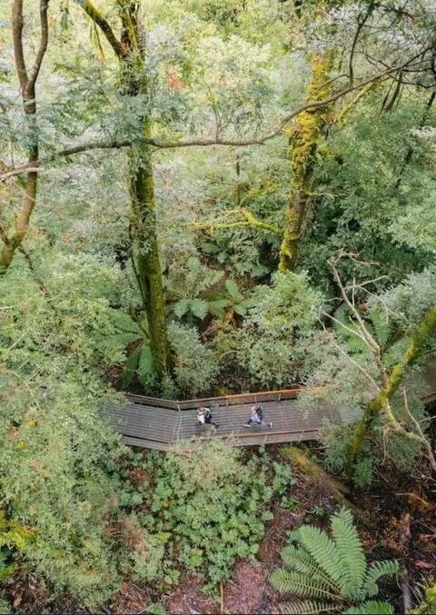 Alpine Hotel, Eat Drink Sleep