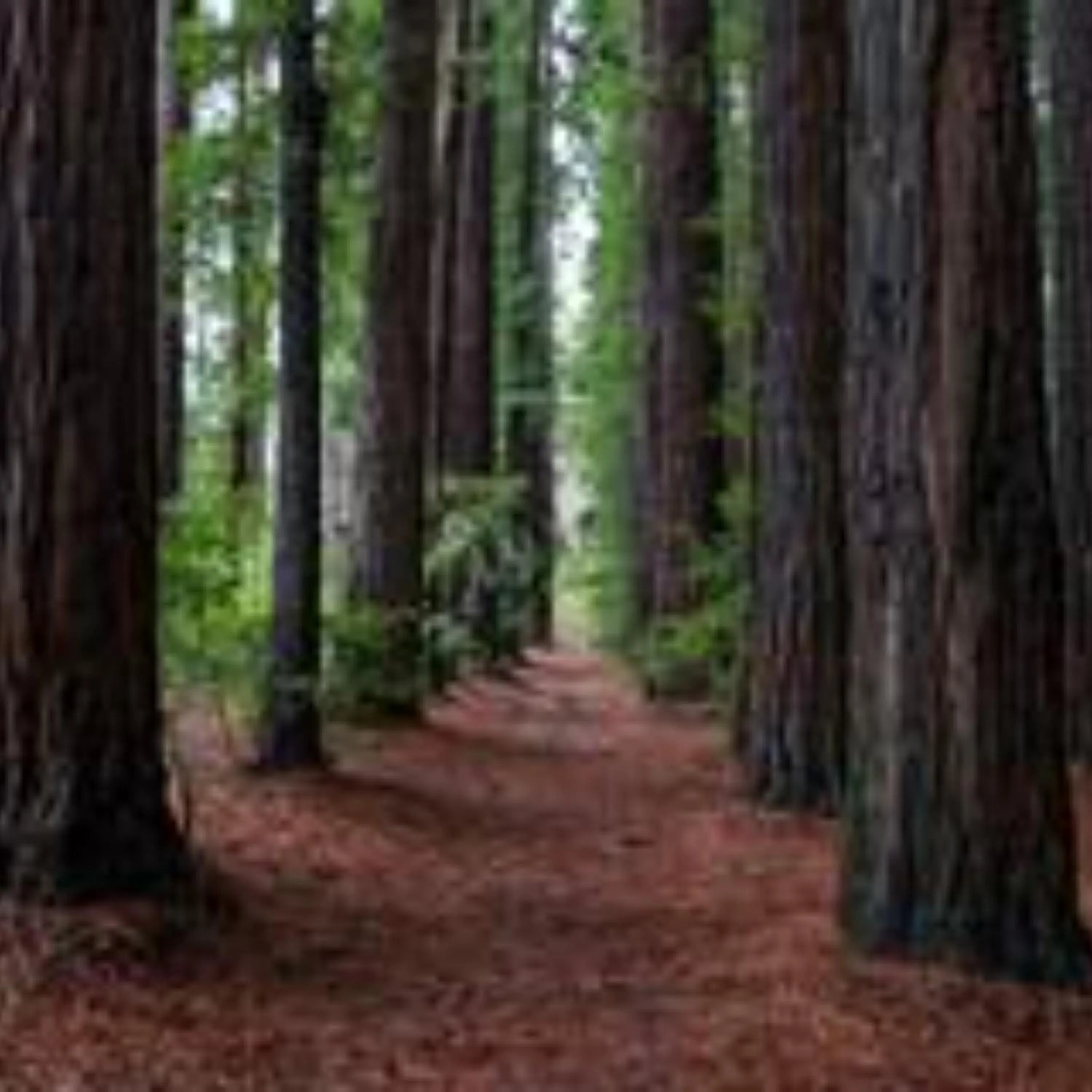 Alpine Hotel, Eat Drink Sleep