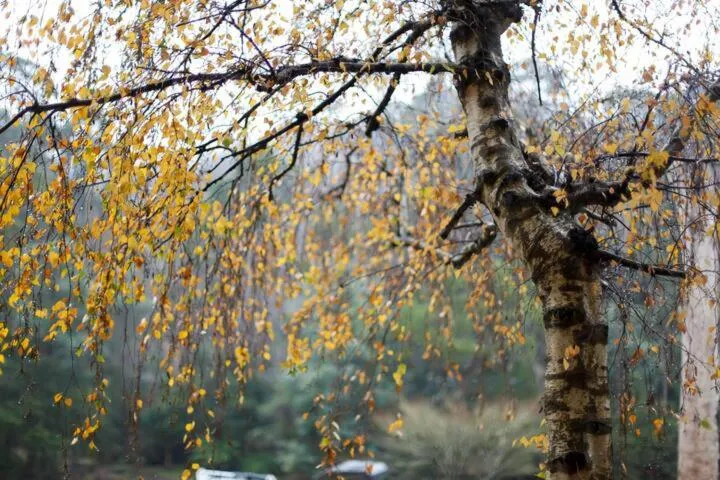 Alpine Hotel, Eat Drink Sleep