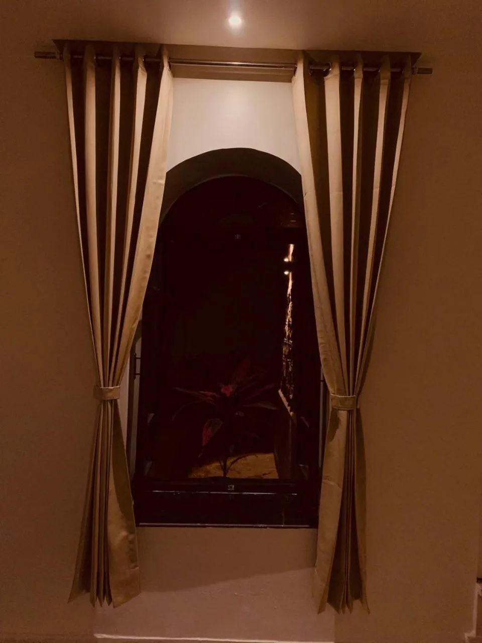 Garden in MAGAN NIWAS