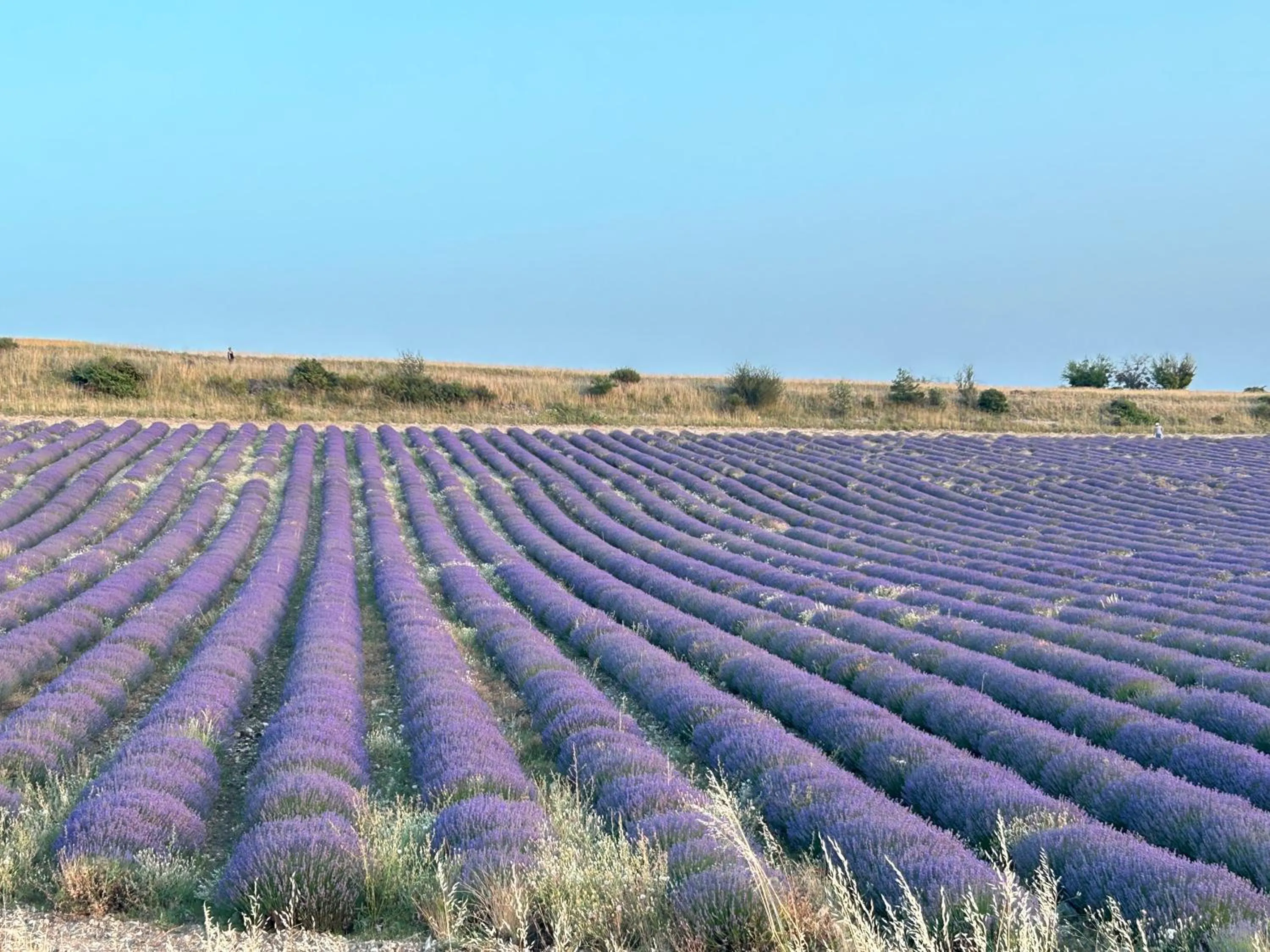 Natural landscape in Olydea Montbrun-les-Bains
