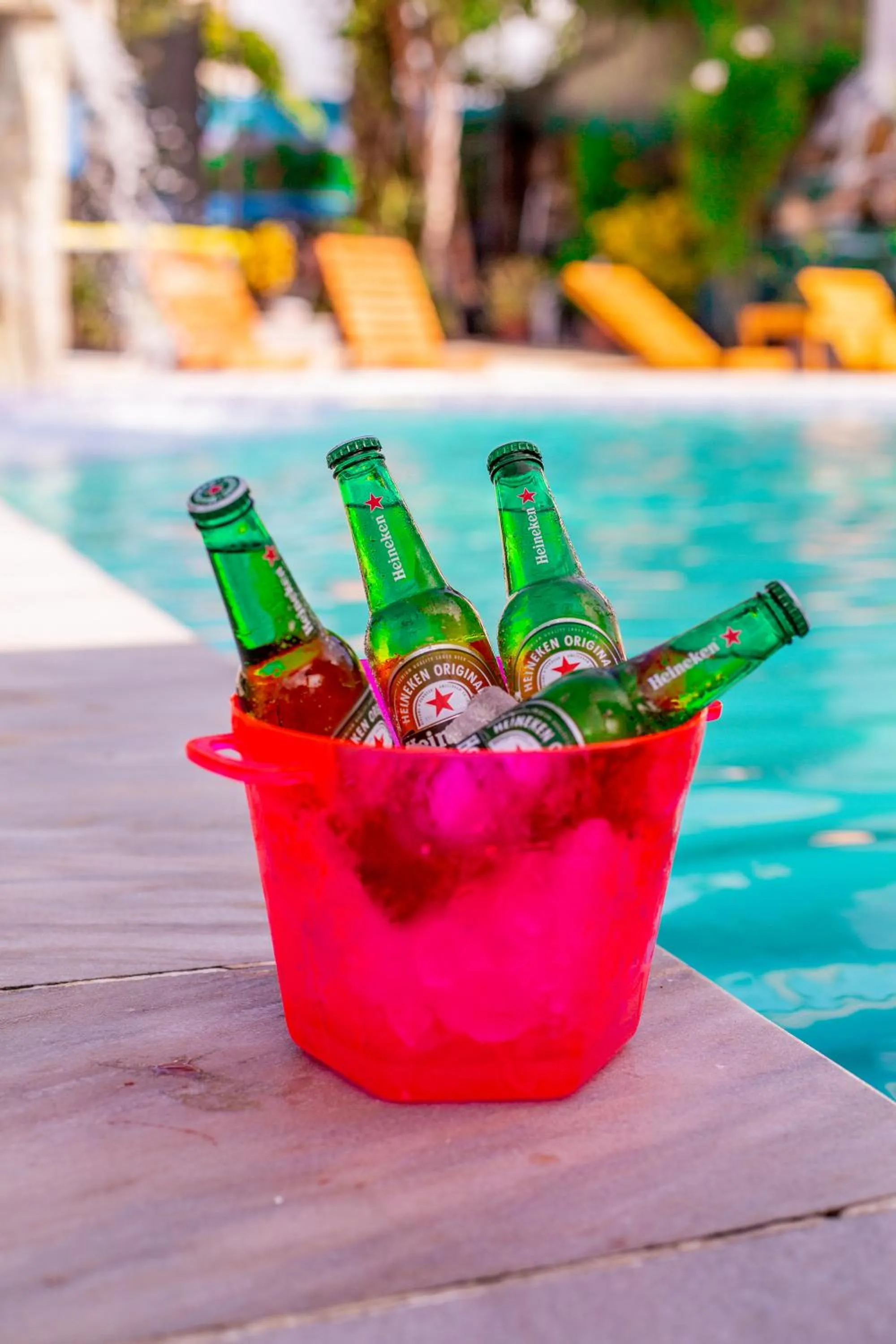 Lounge or bar in Hotel Pousada Mahon Mar