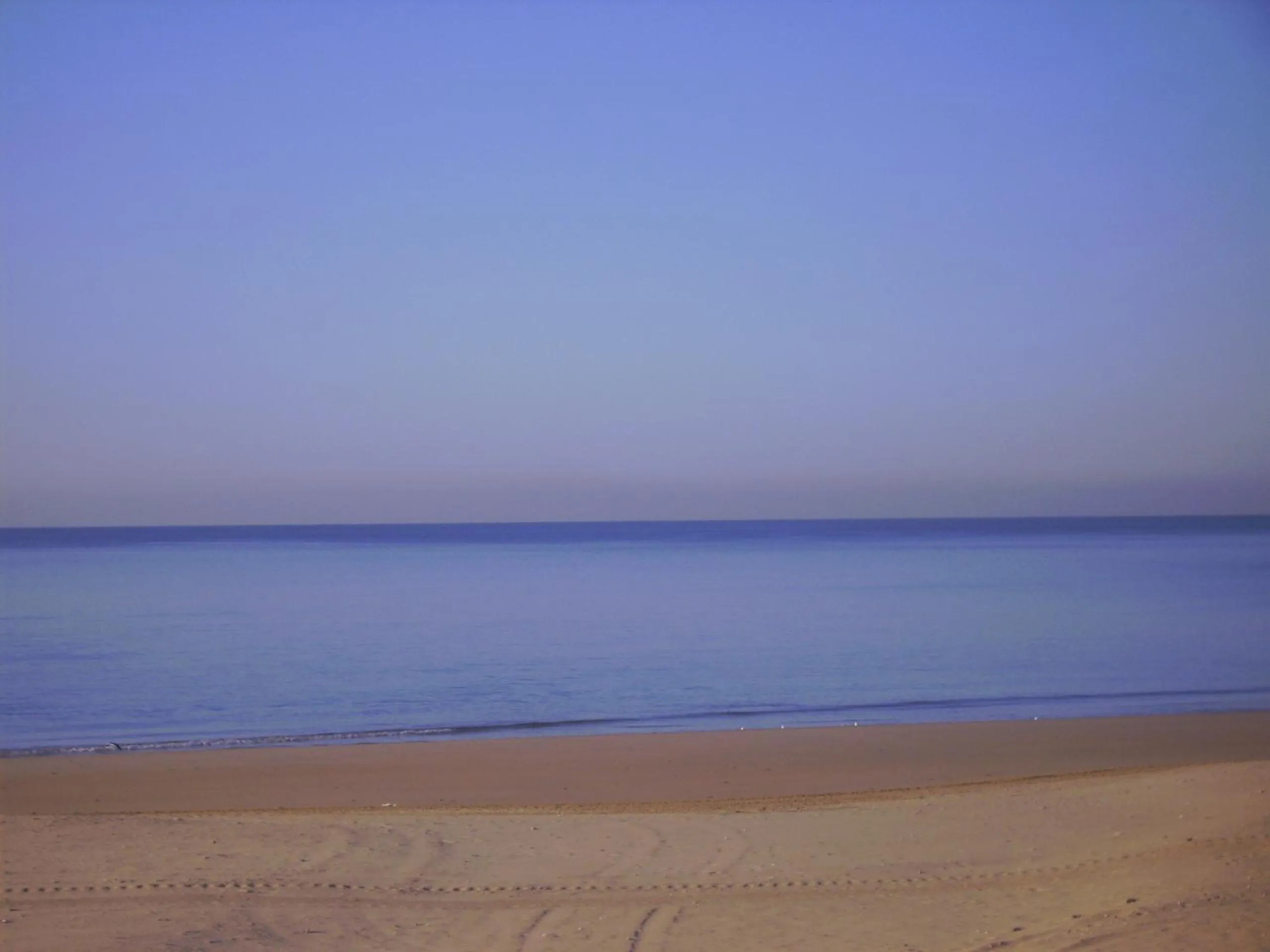 Beach in Hotel Macavi Playa