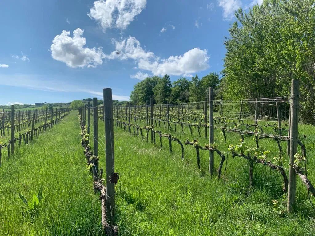 Spring in Casa M Tuscany