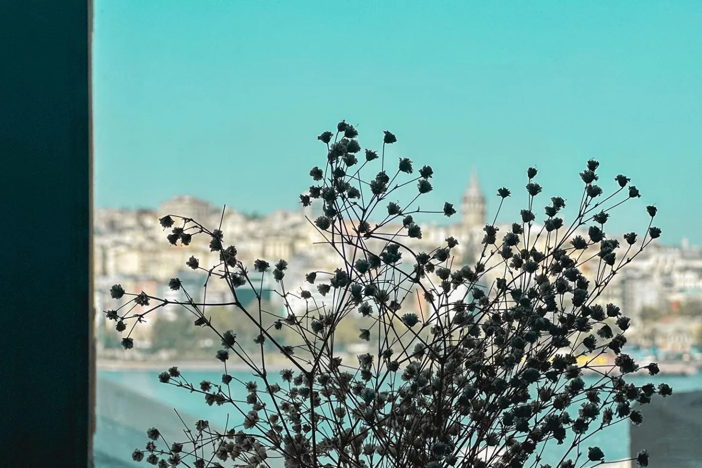 Day in The Haliç Bosphorus Hotel