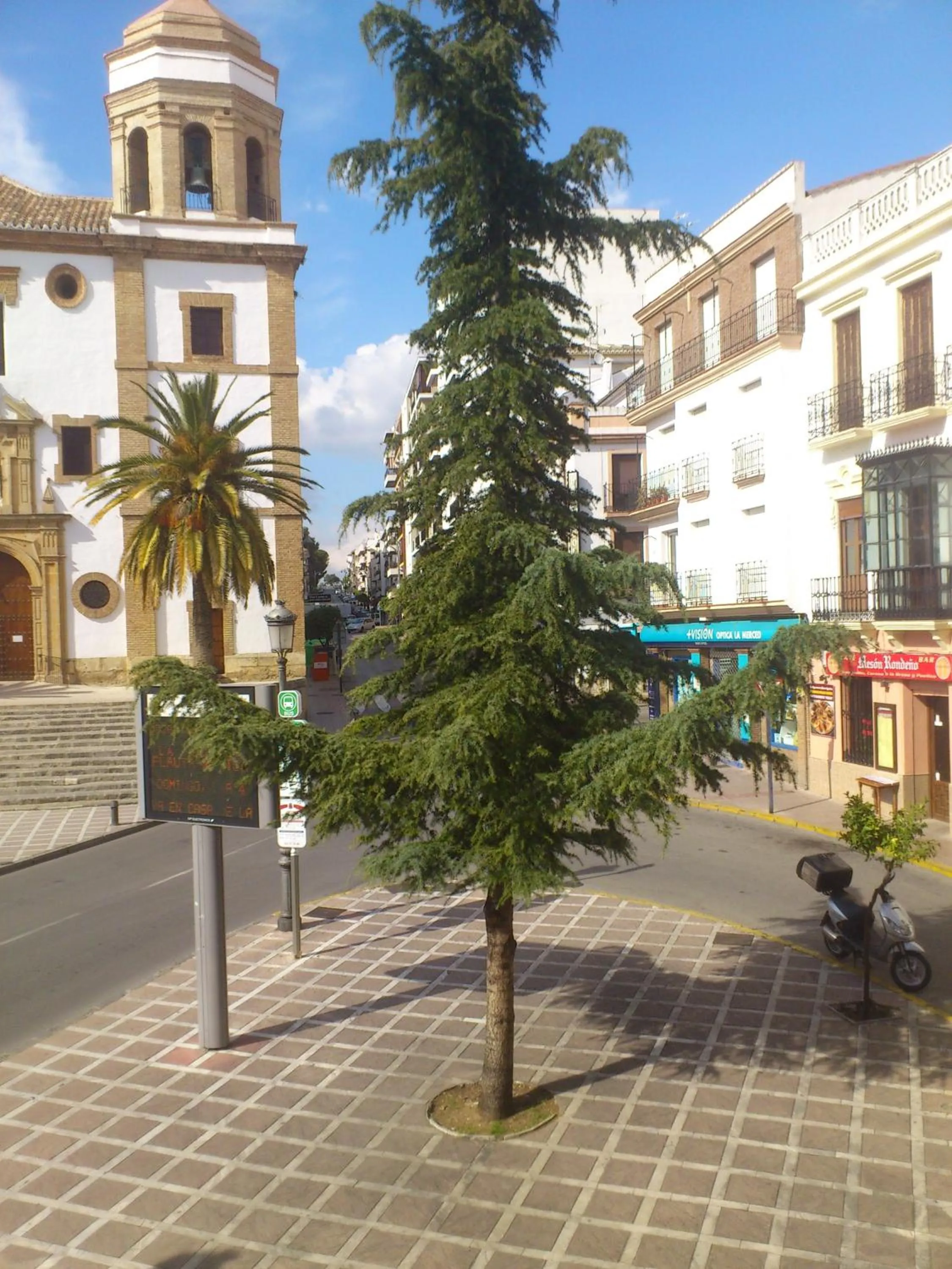 Area and facilities in Hotel Royal