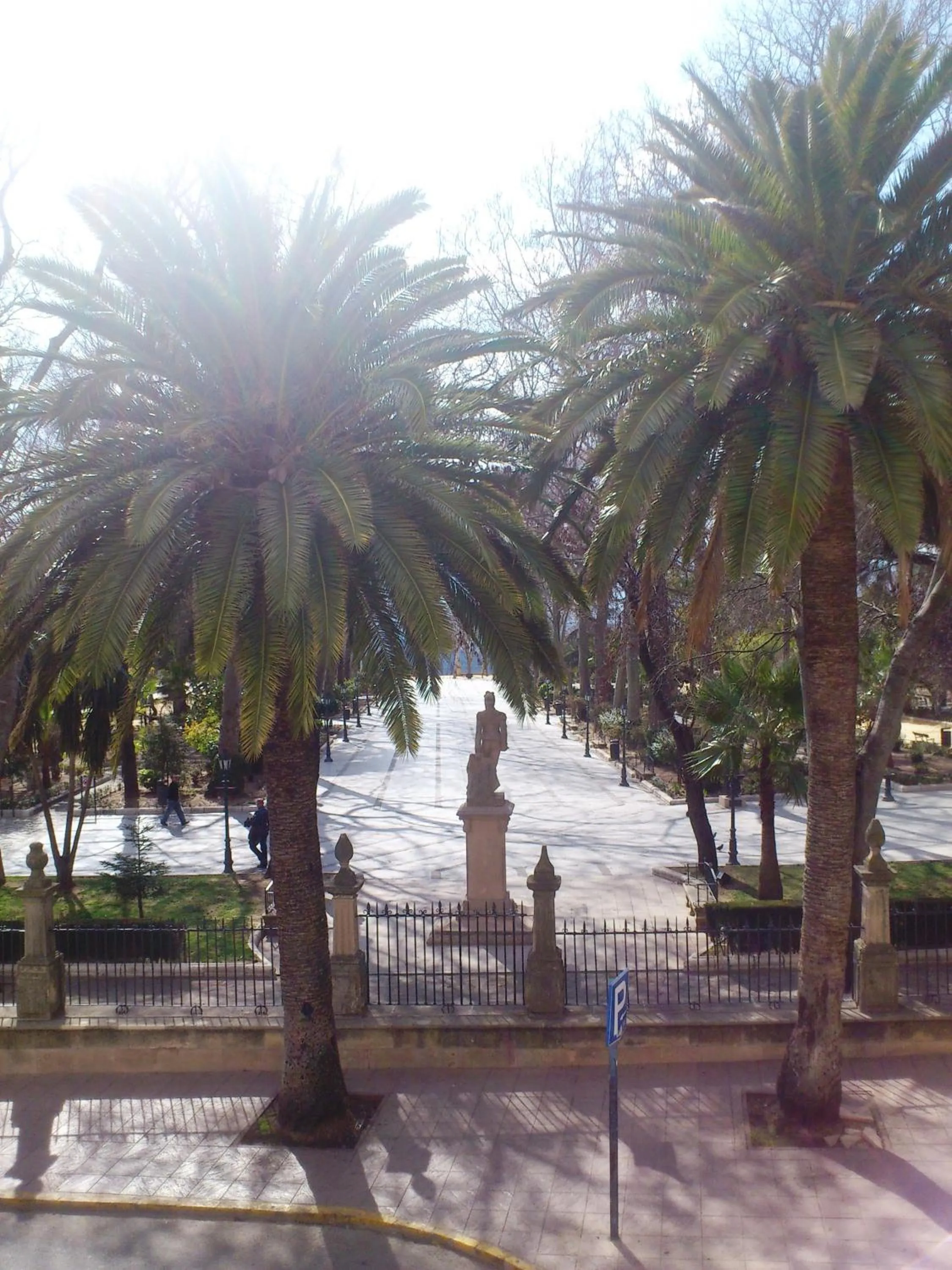 Area and facilities in Hotel Royal